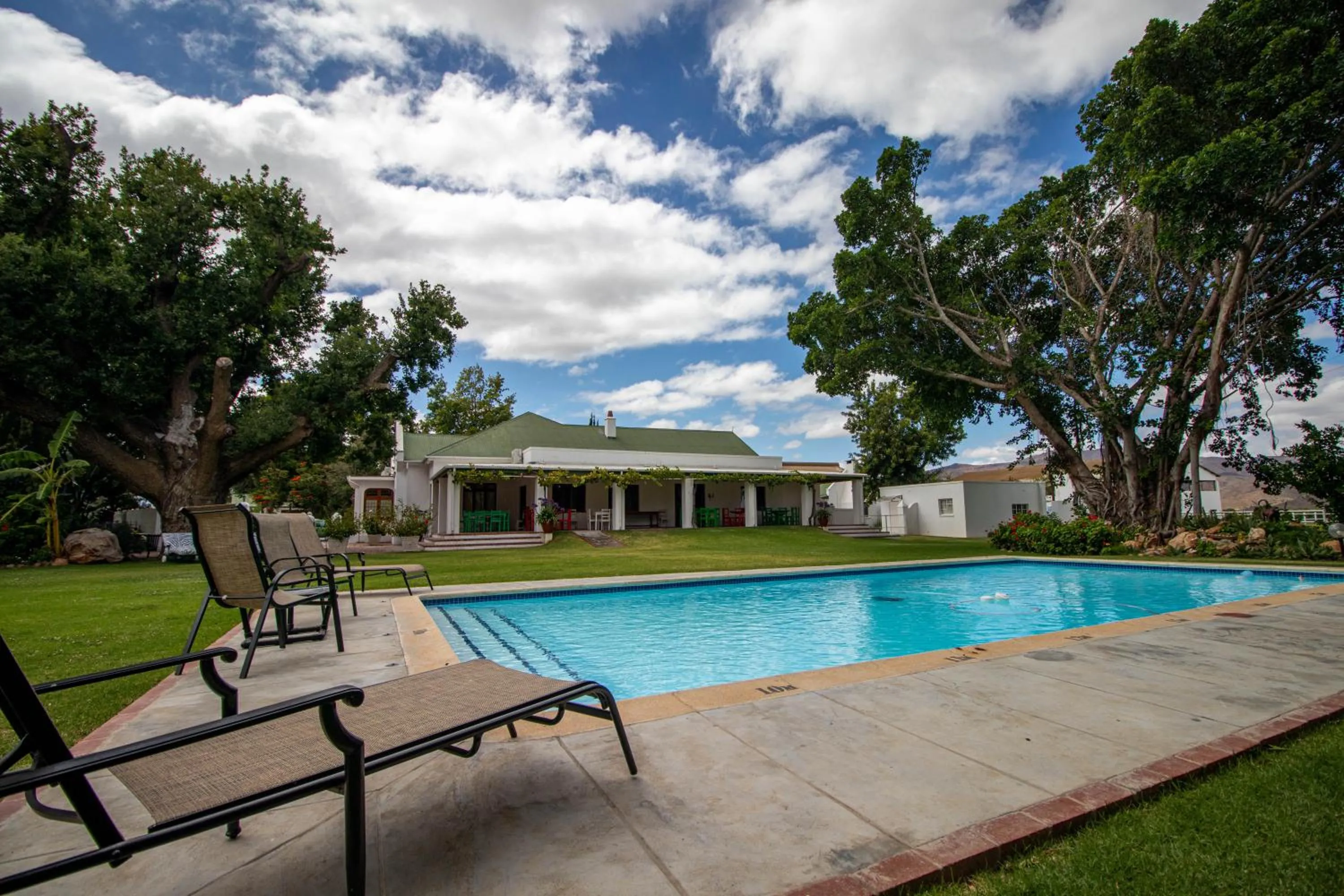 Swimming pool in Green Olive Guesthouse