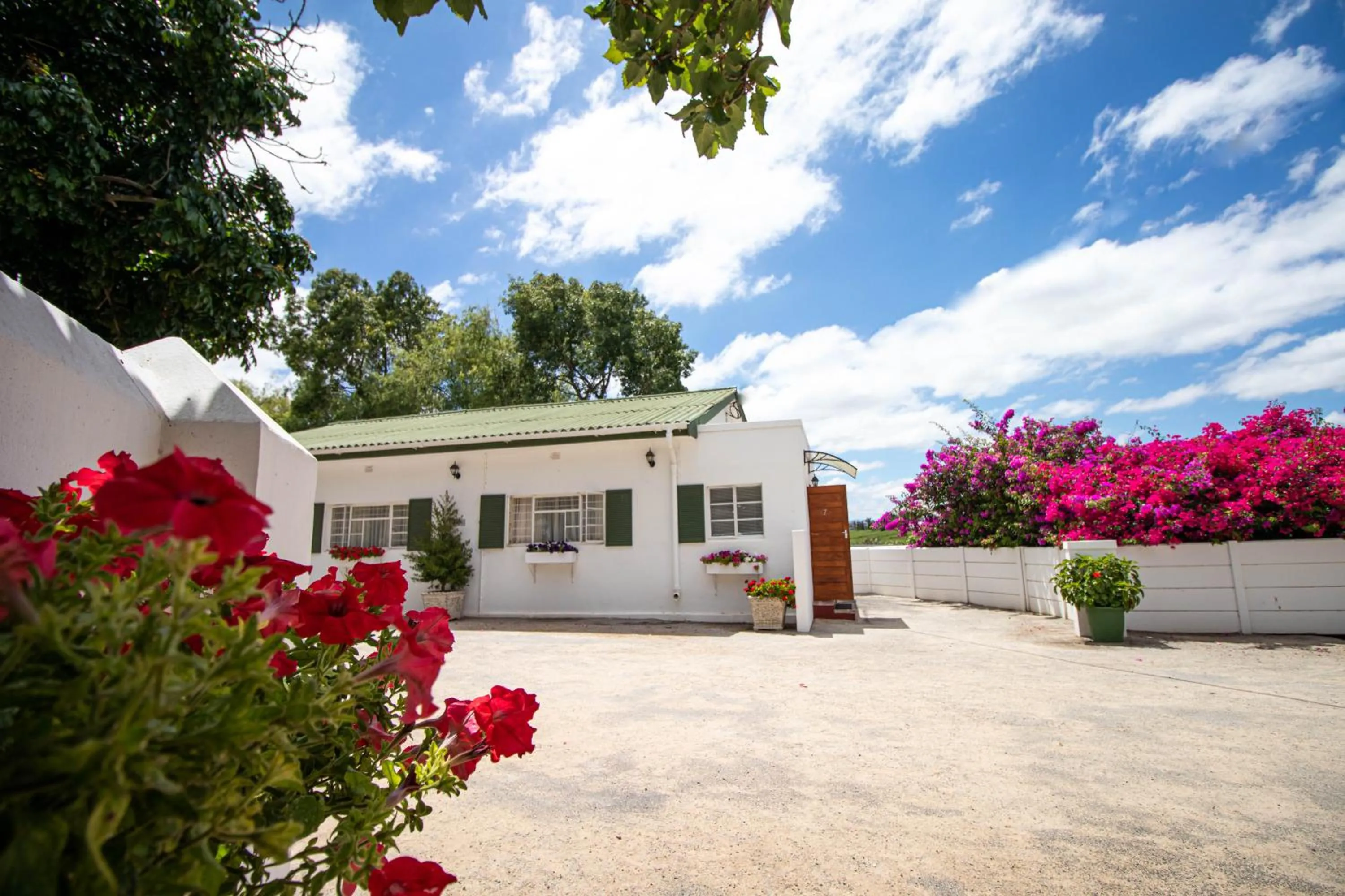 Property building in Green Olive Guesthouse