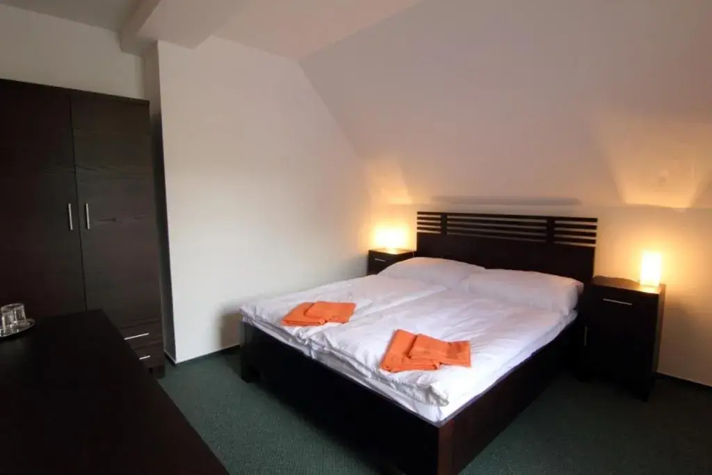 Standard Double Room in Pension Troll Standard Double Room in Pension Troll