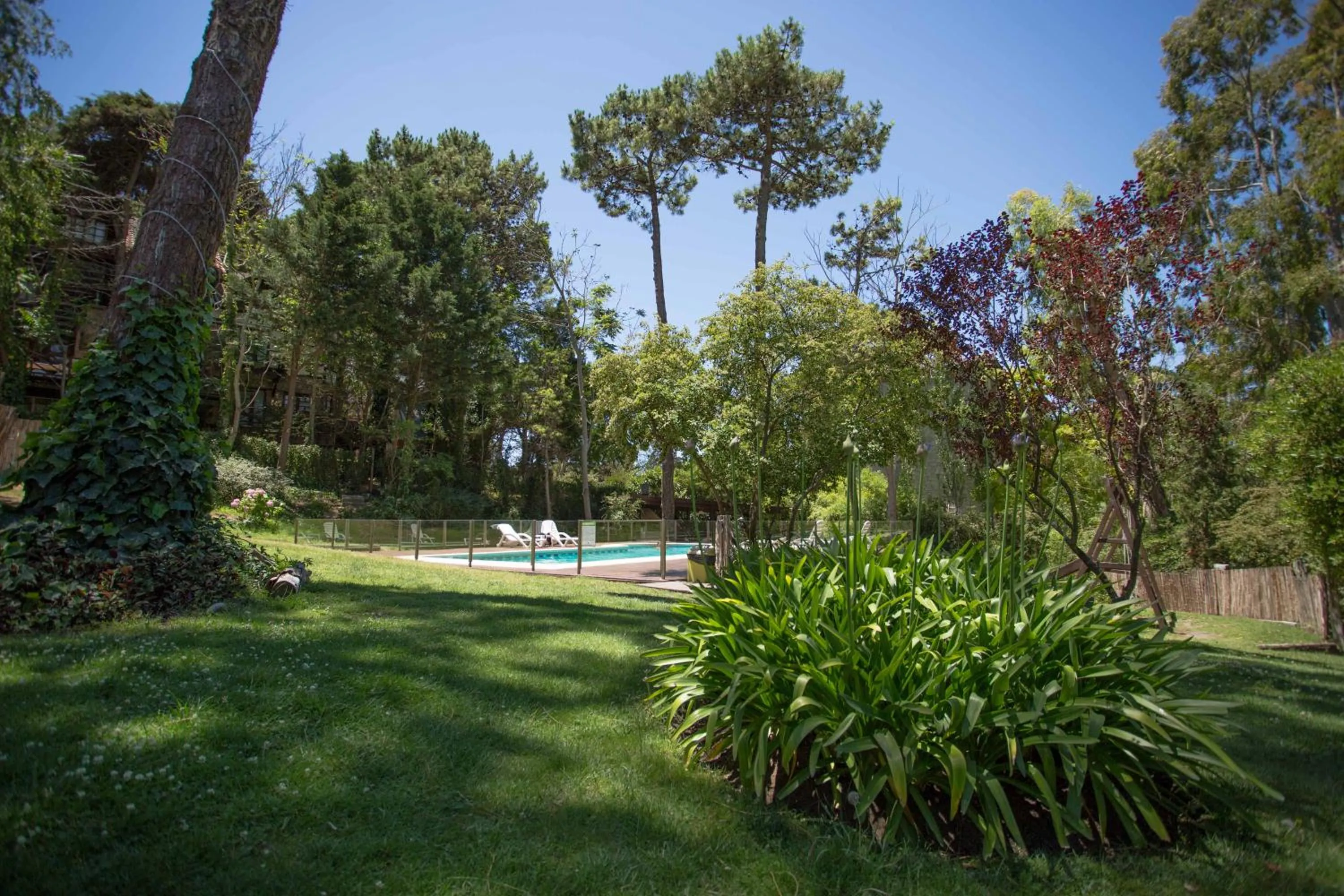 Swimming pool in Posada del Bosque By HS