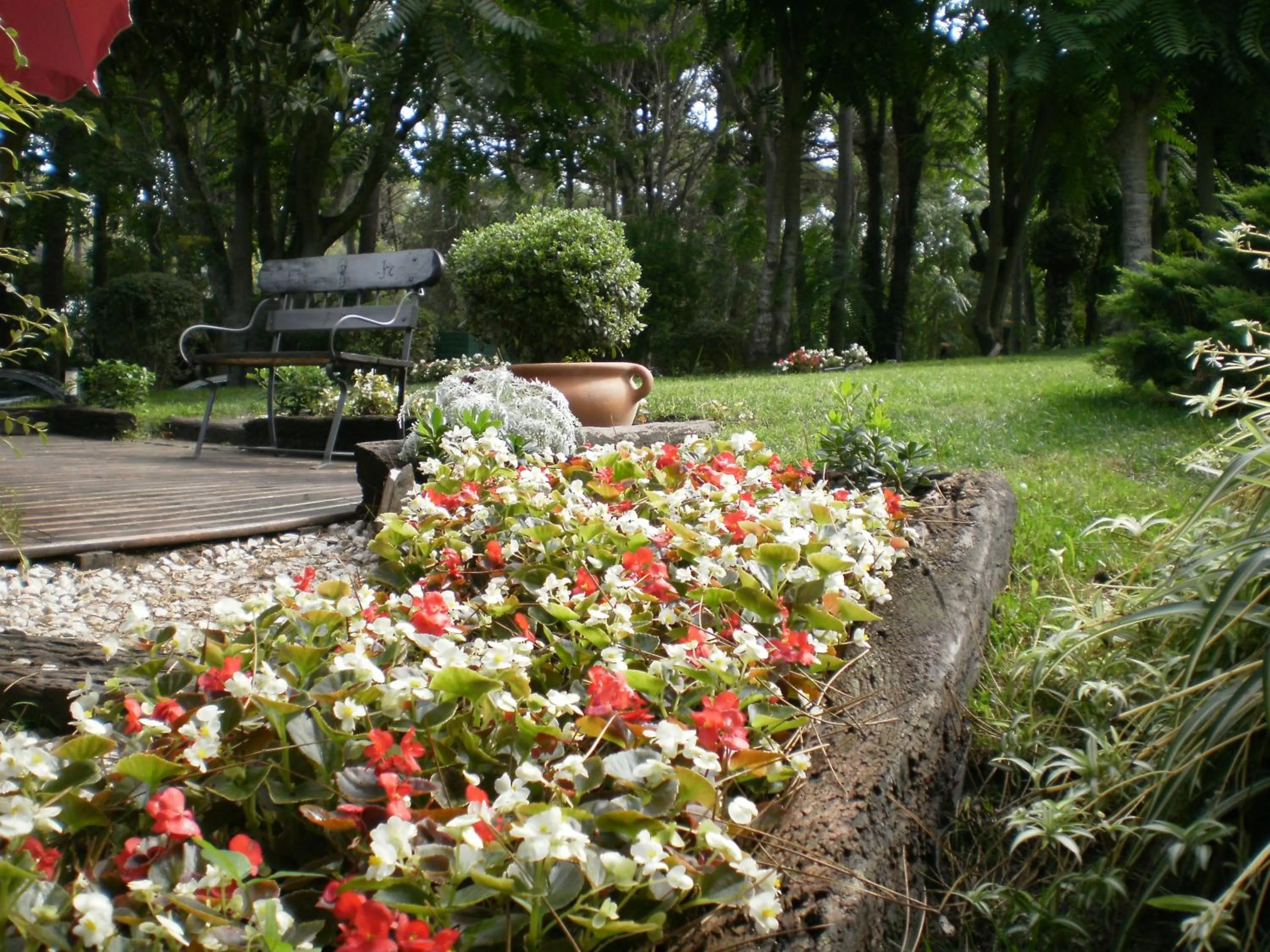 Spring in Posada del Bosque By HS