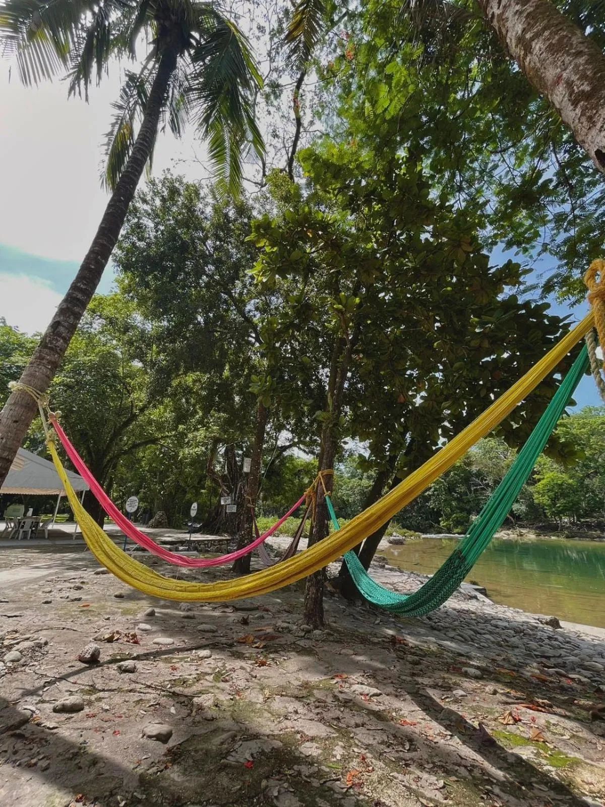 Off site in Hotel Nututun Palenque