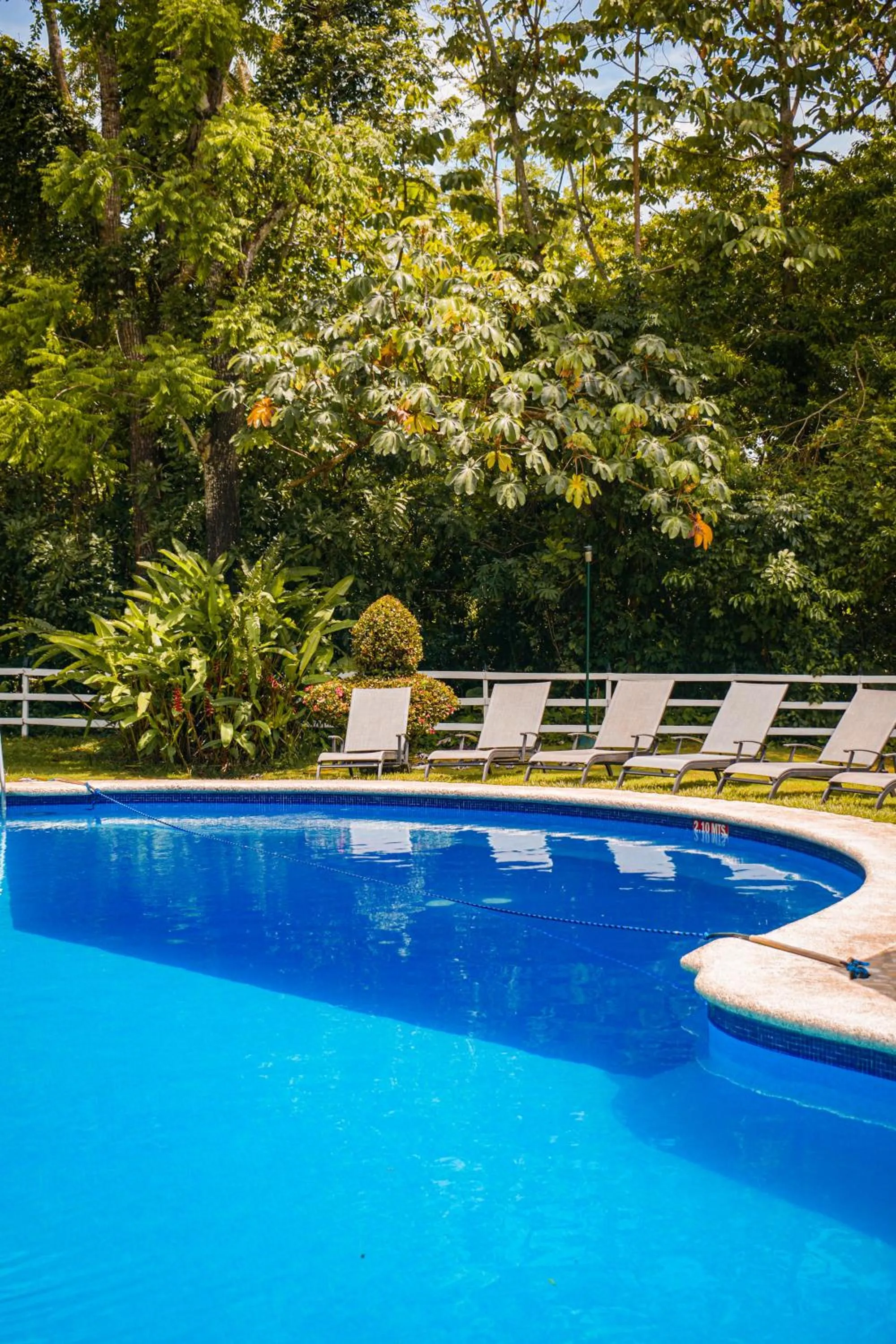 Swimming pool in Hotel Nututun Palenque