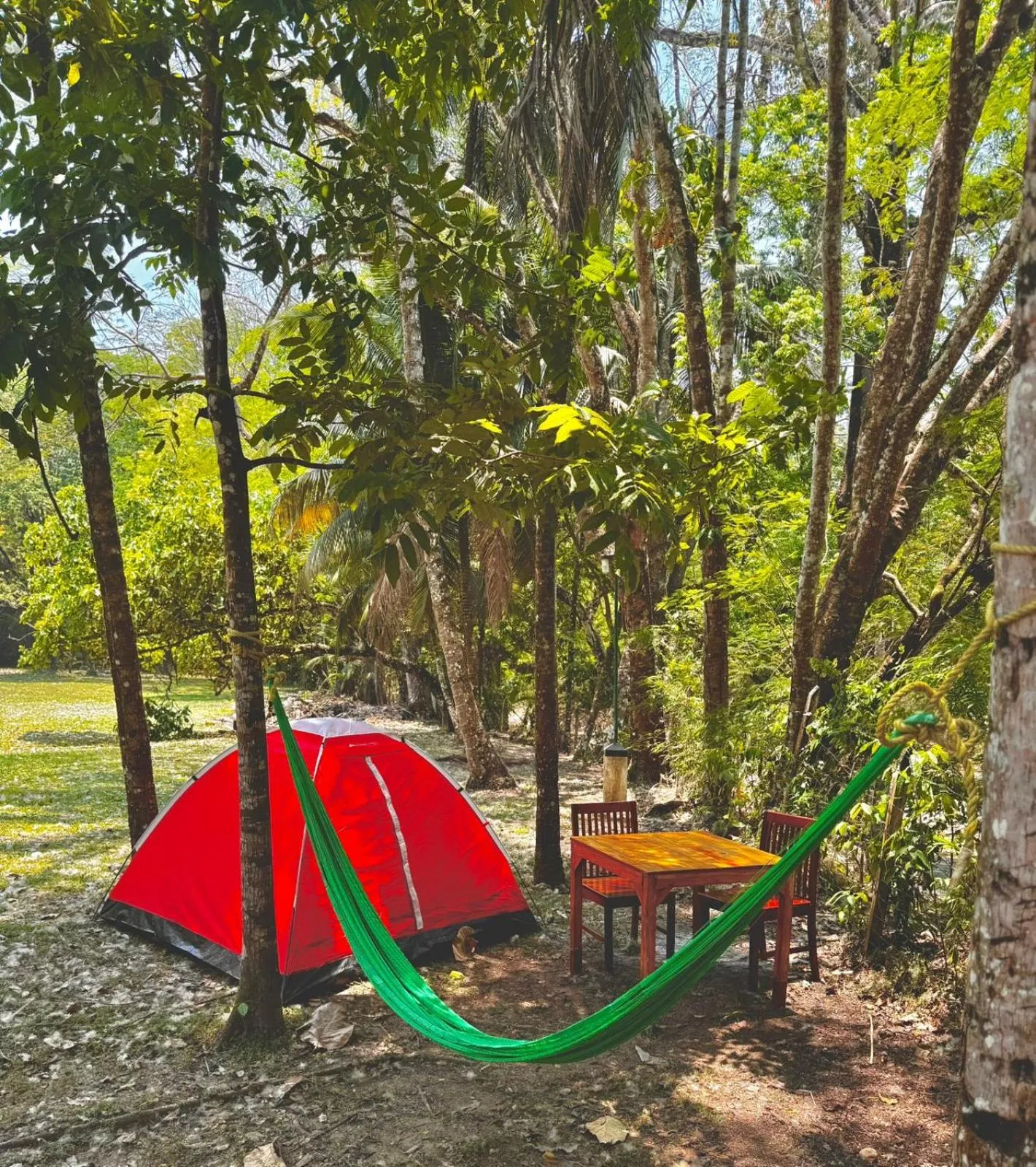 Off site in Hotel Nututun Palenque