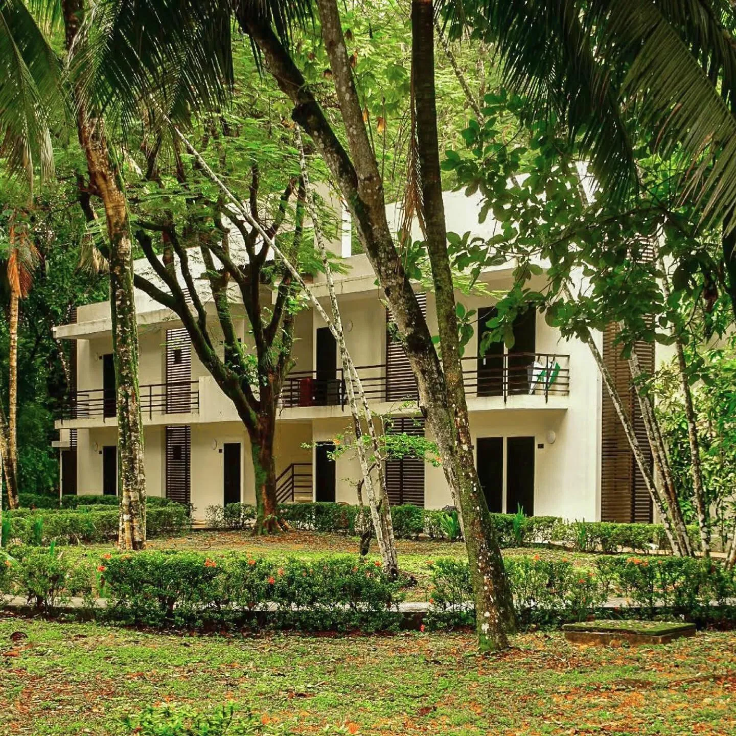 Property building in Hotel Nututun Palenque
