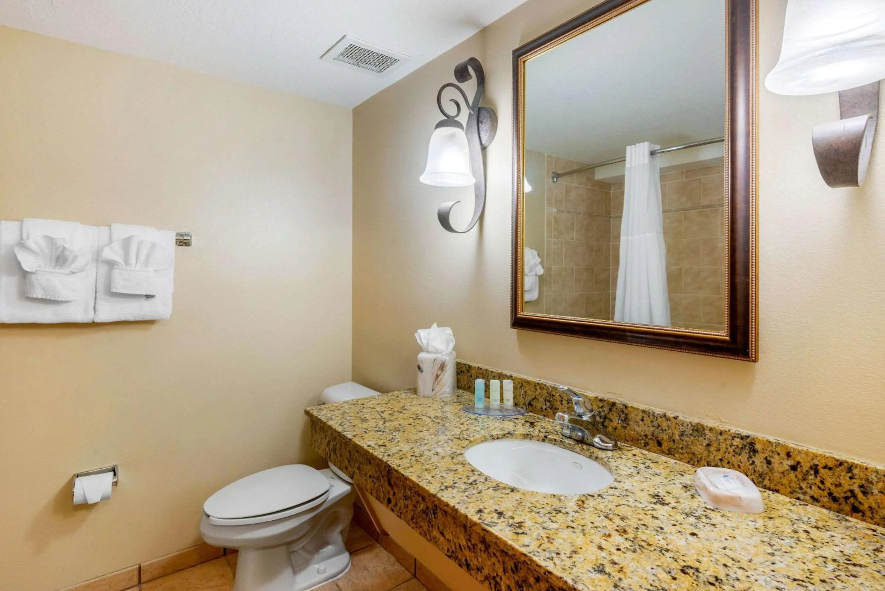 Bathroom in Clarion Inn Ormond Beach at Destination Daytona