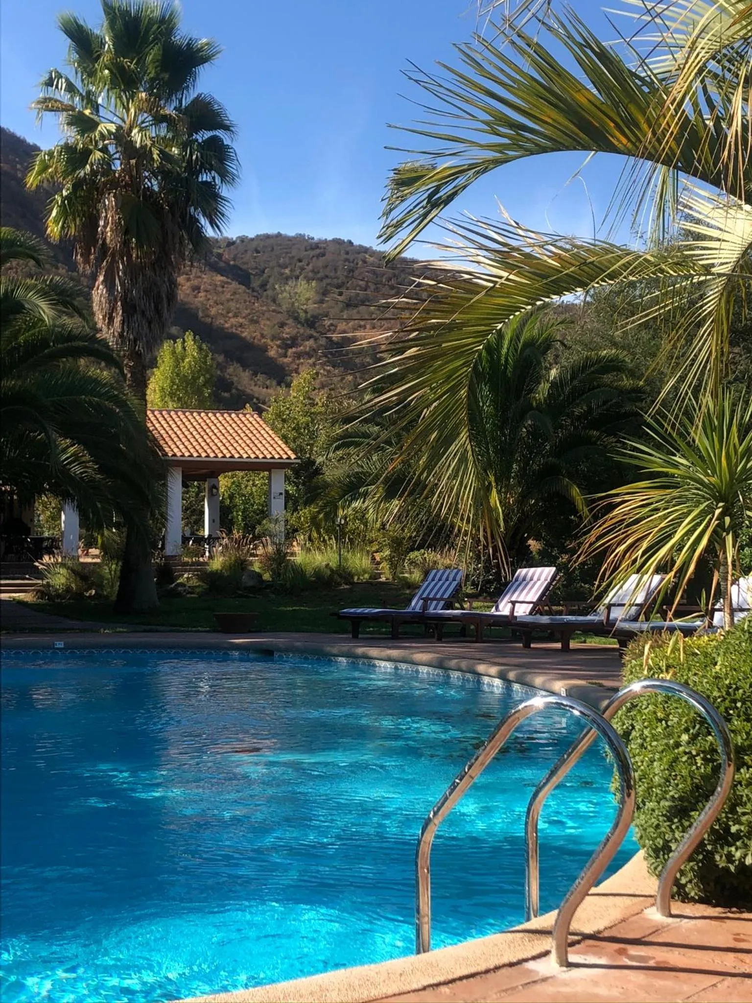 Natural landscape in Hotel Boutique Solaz Bella Vista de Colchagua