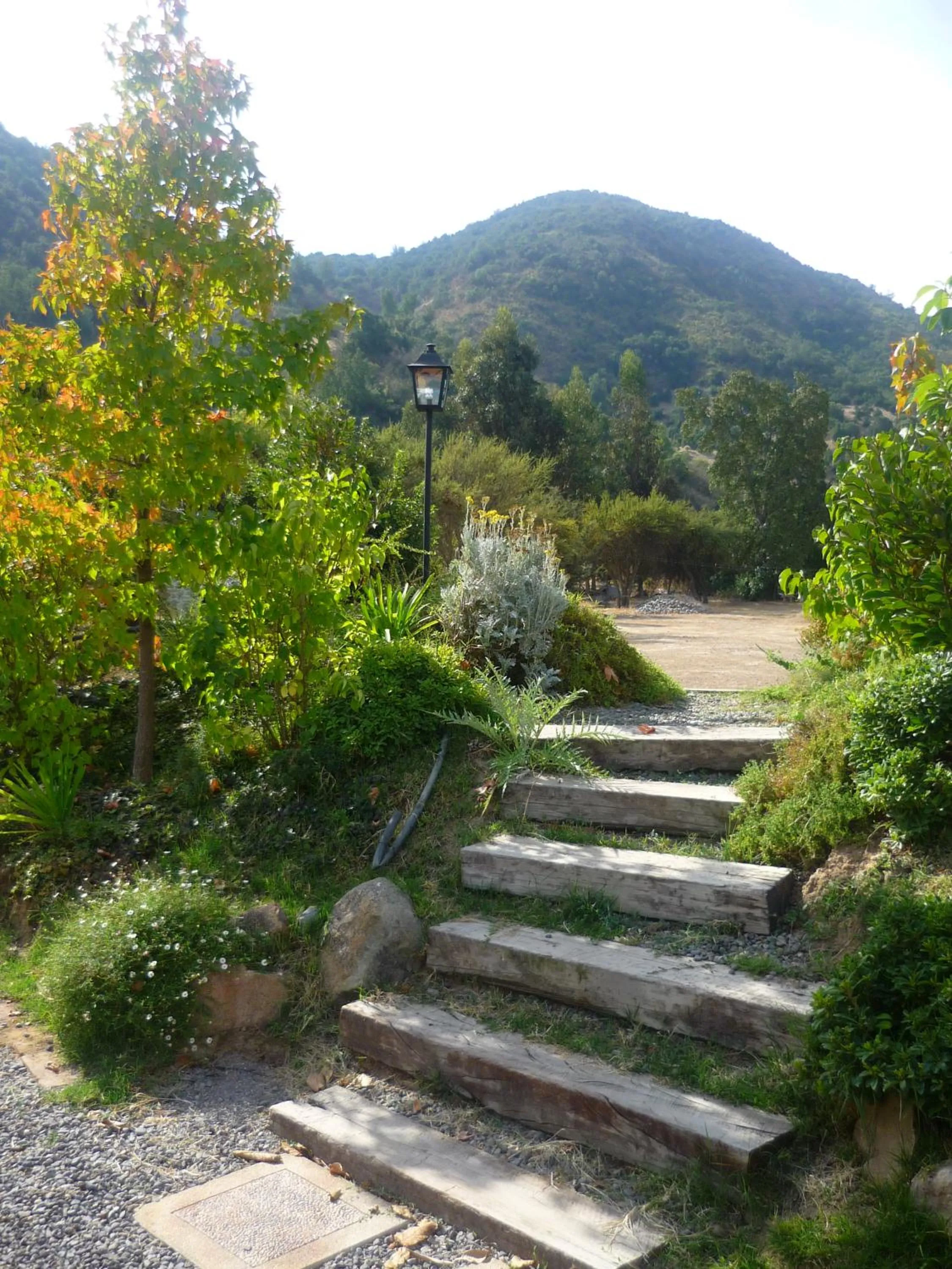 Natural landscape in Hotel Boutique Solaz Bella Vista de Colchagua