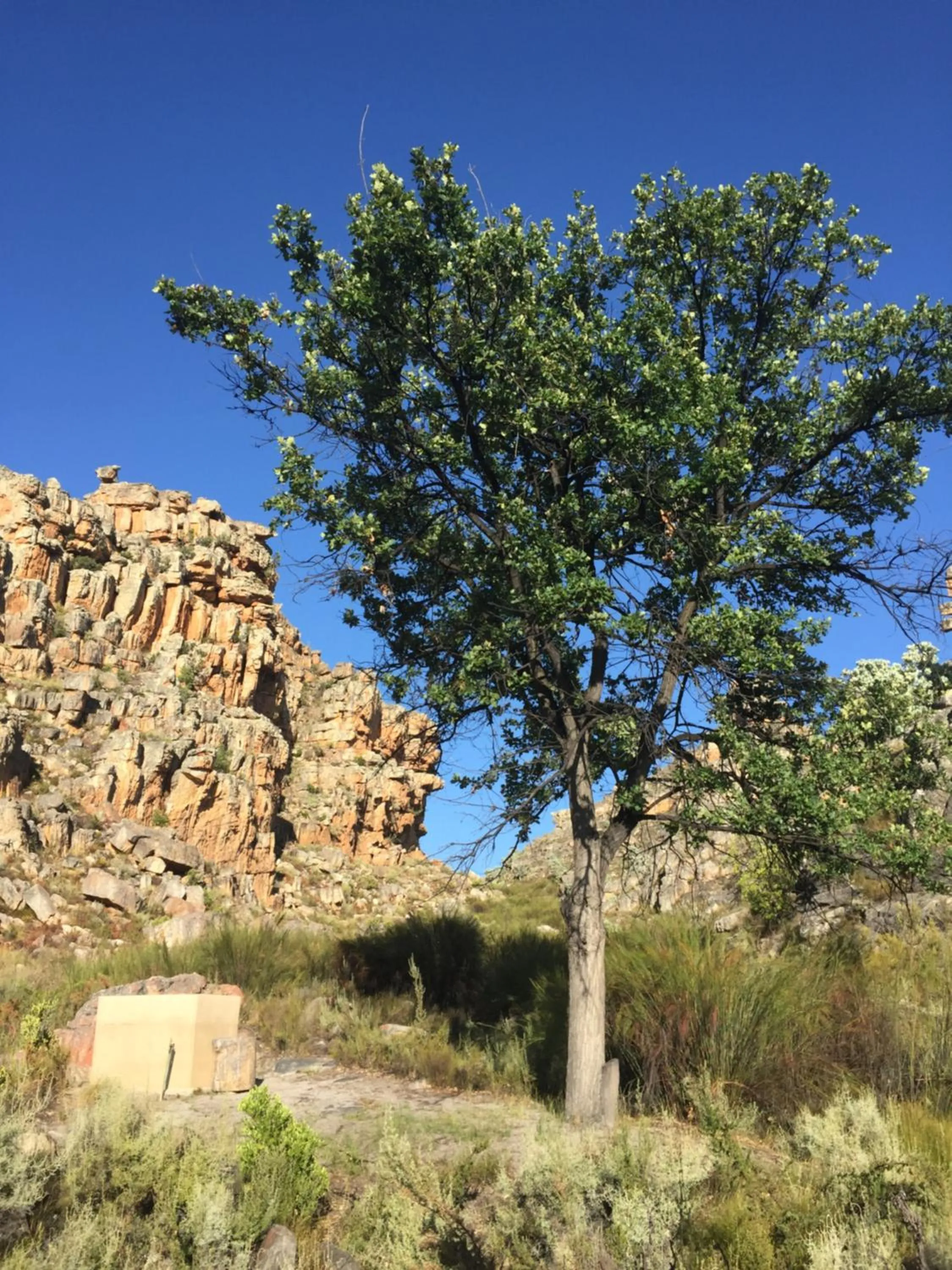 Heiveld Farm Cottages