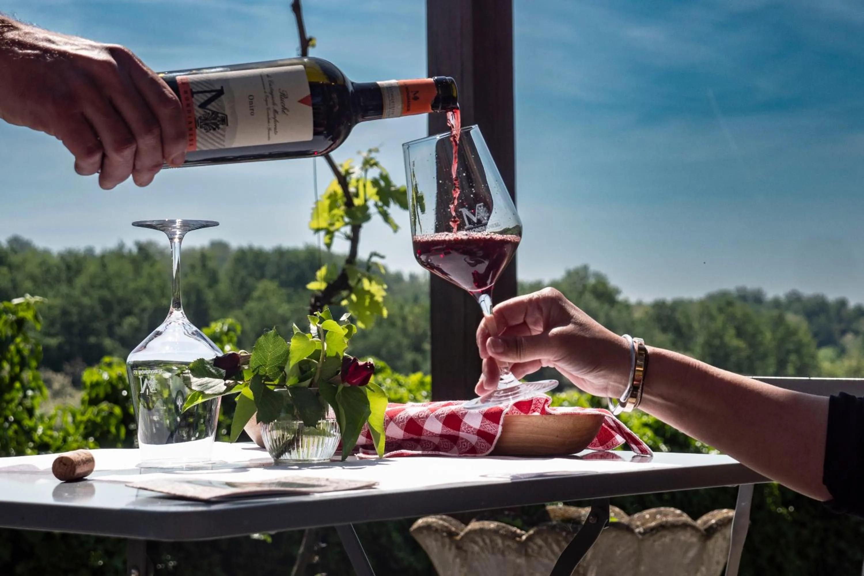 Natural landscape in La Mondianese "House of Ruchè"