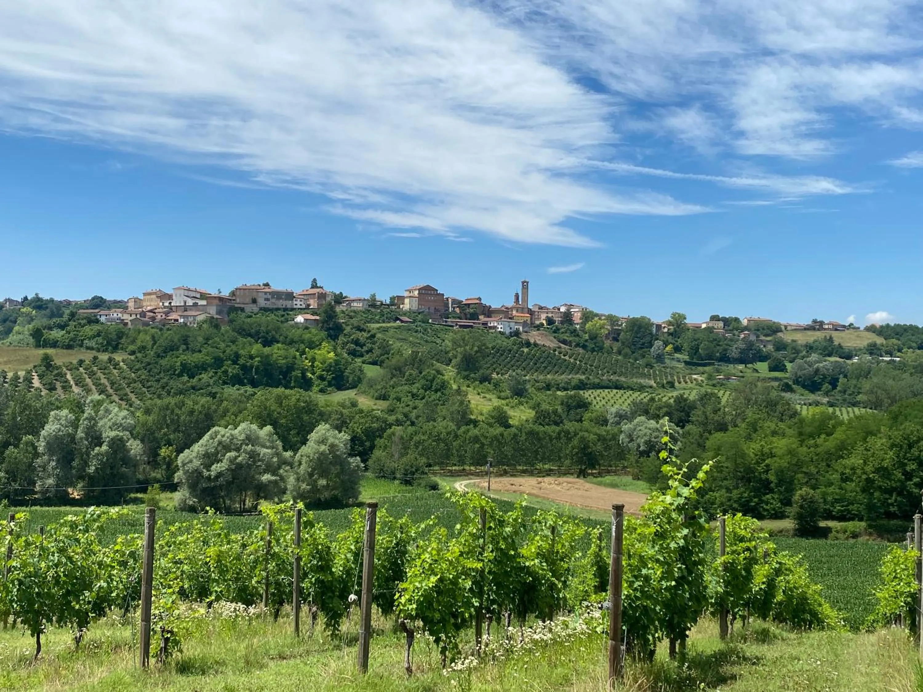 Natural landscape in La Mondianese "House of Ruchè"