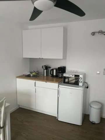 Kitchen or kitchenette in Aparthotel Peerless Dine