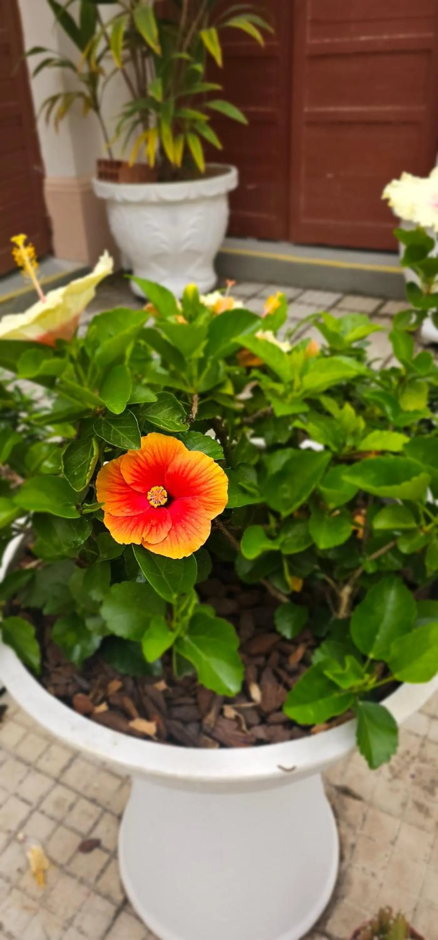 Day in Pousada Convento da Conceição