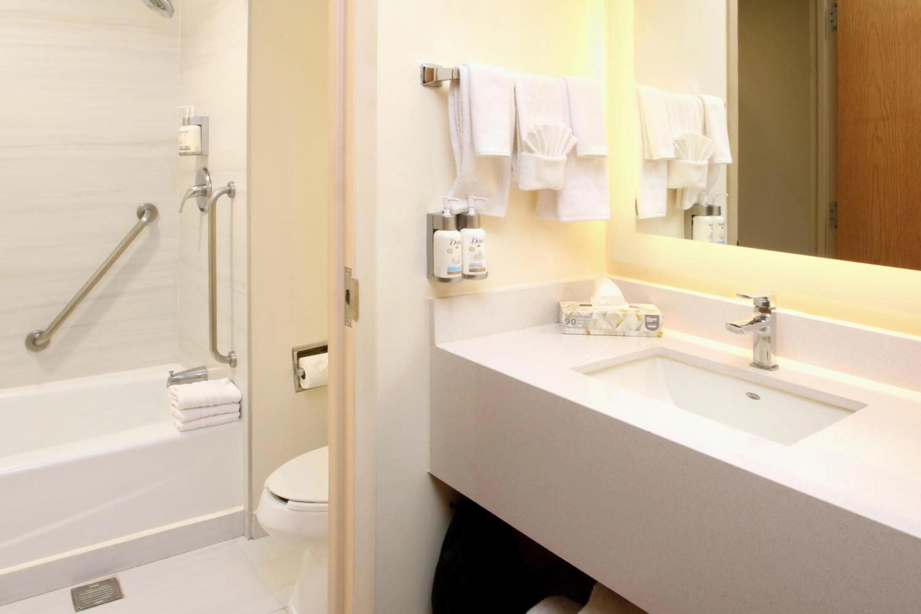 Bathroom in Holiday Inn Express Torreon by IHG