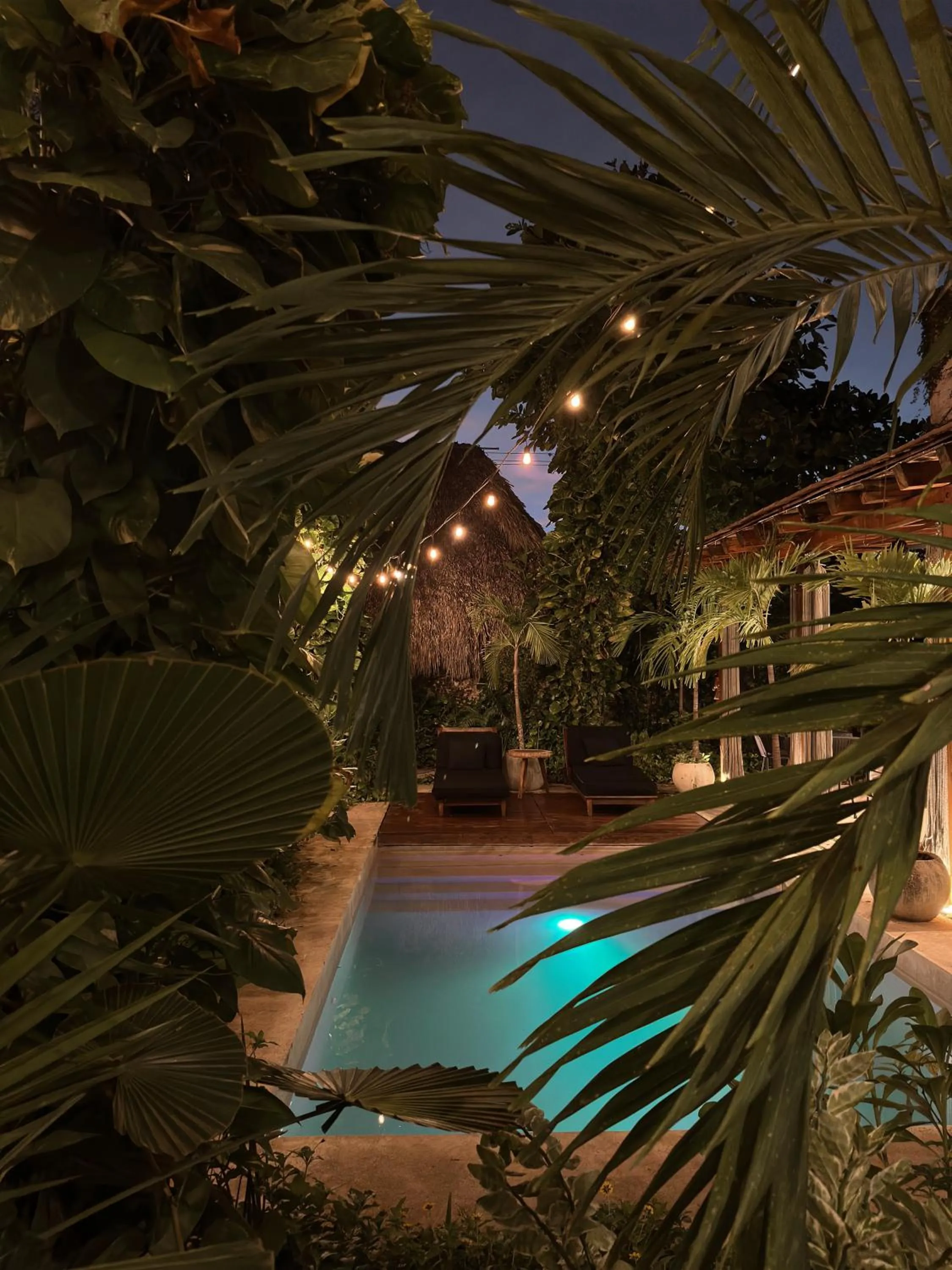 Colonte Hotel Origen