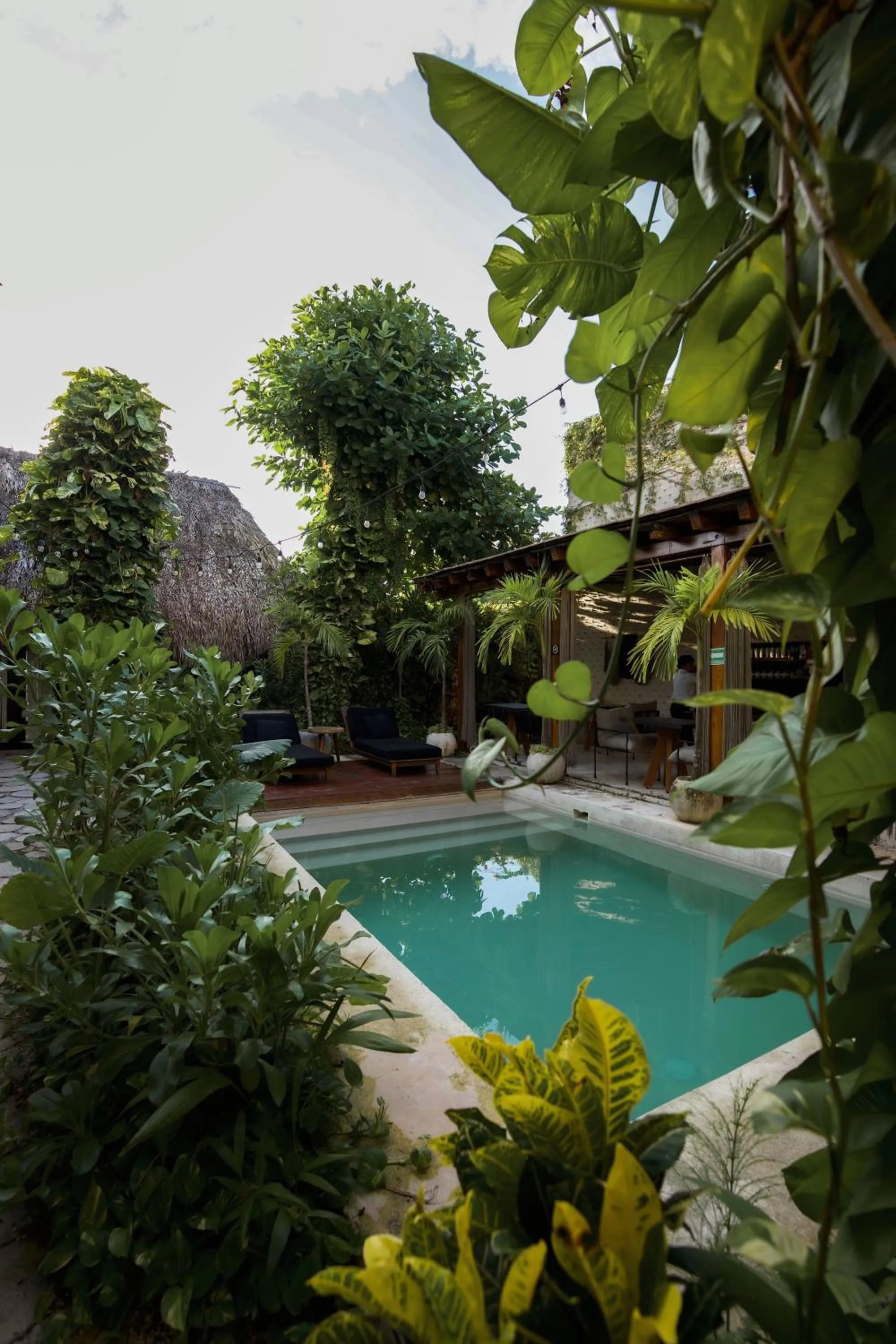 Colonte Hotel Origen