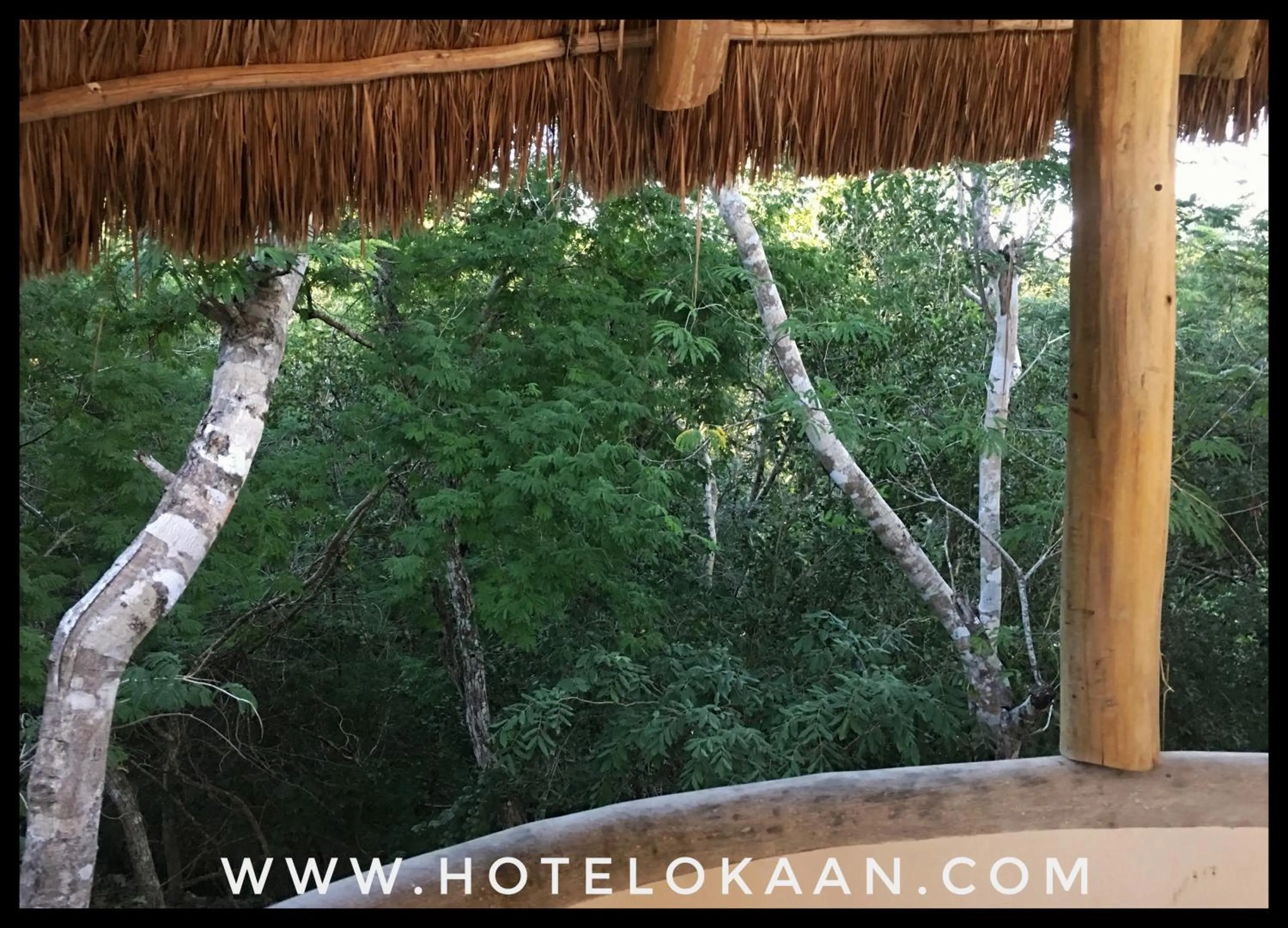 Decorative detail in Hotel Okaan