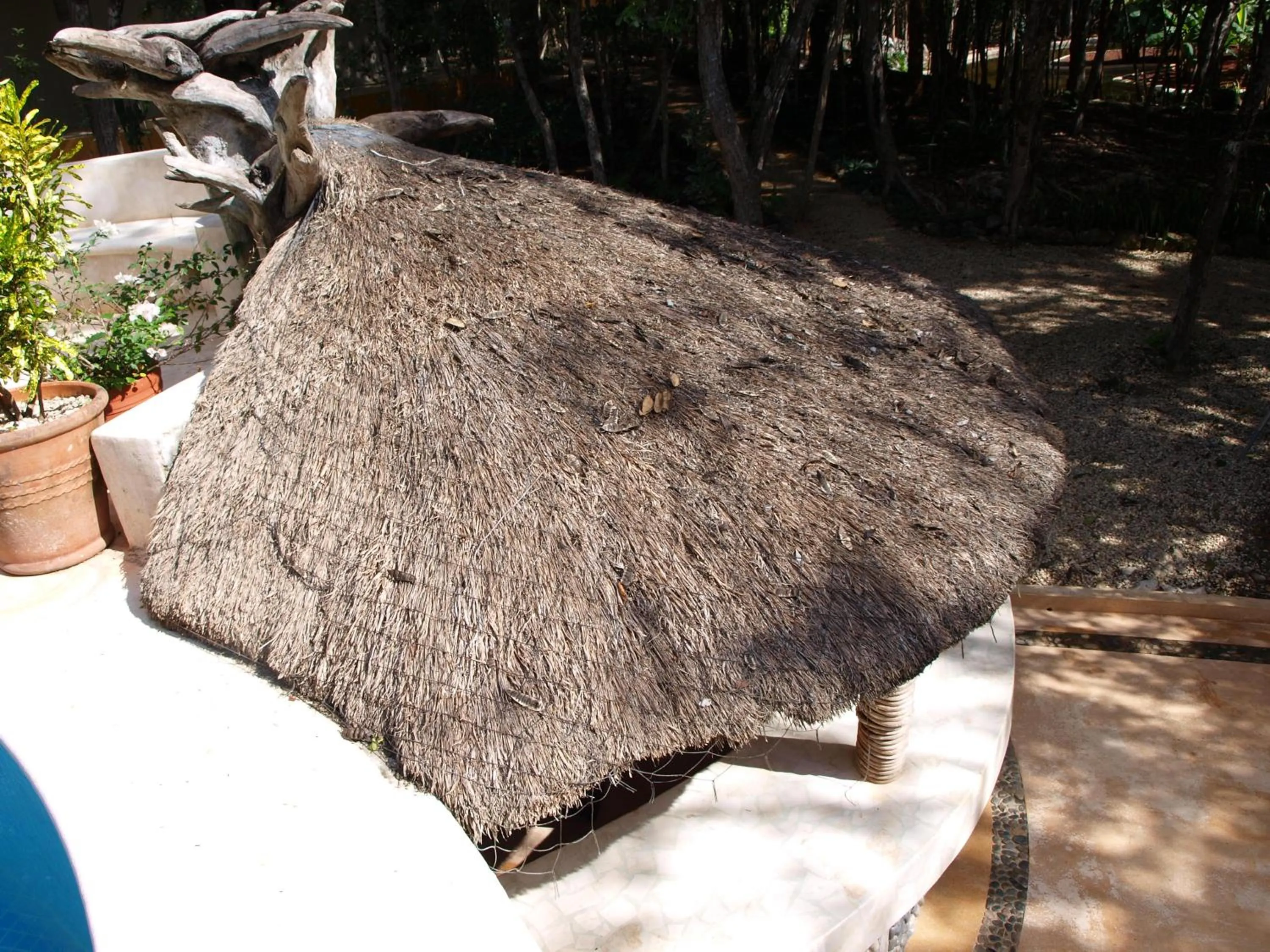 Lounge or bar in Hotel Okaan