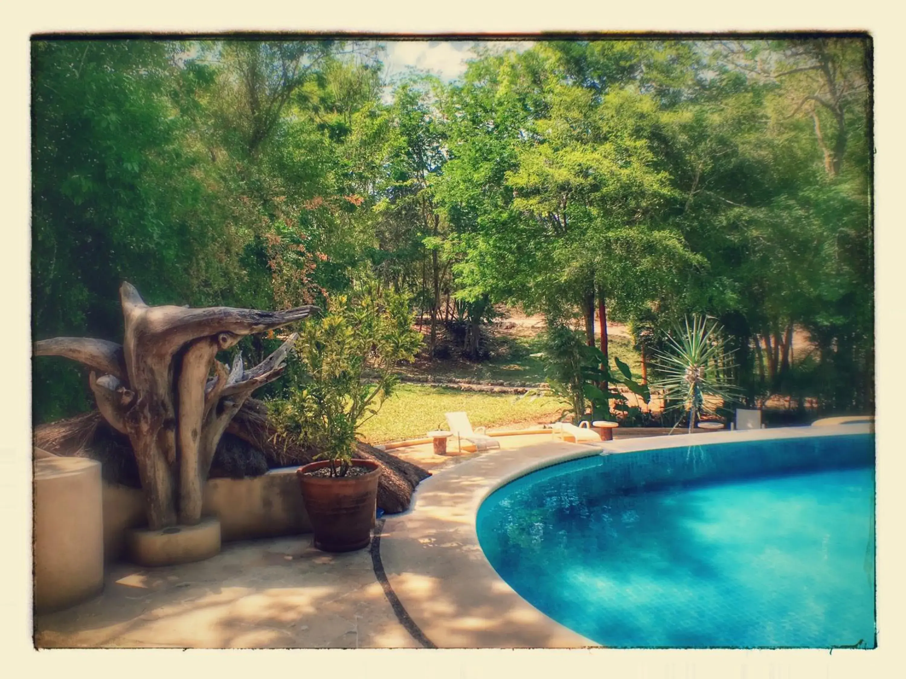 Swimming pool in Hotel Okaan Swimming pool in Hotel Okaan