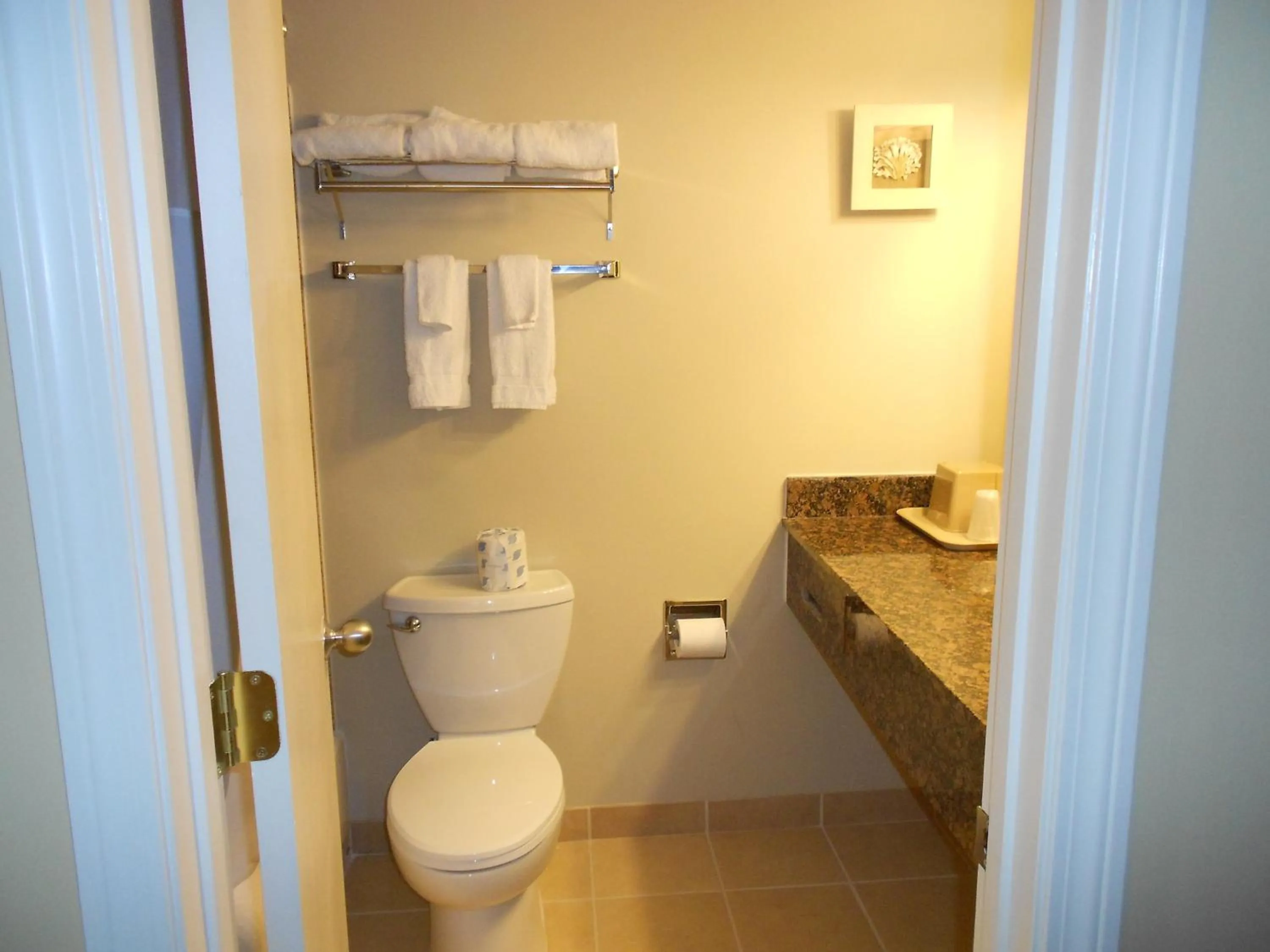 Toilet in Cape Shore Inn