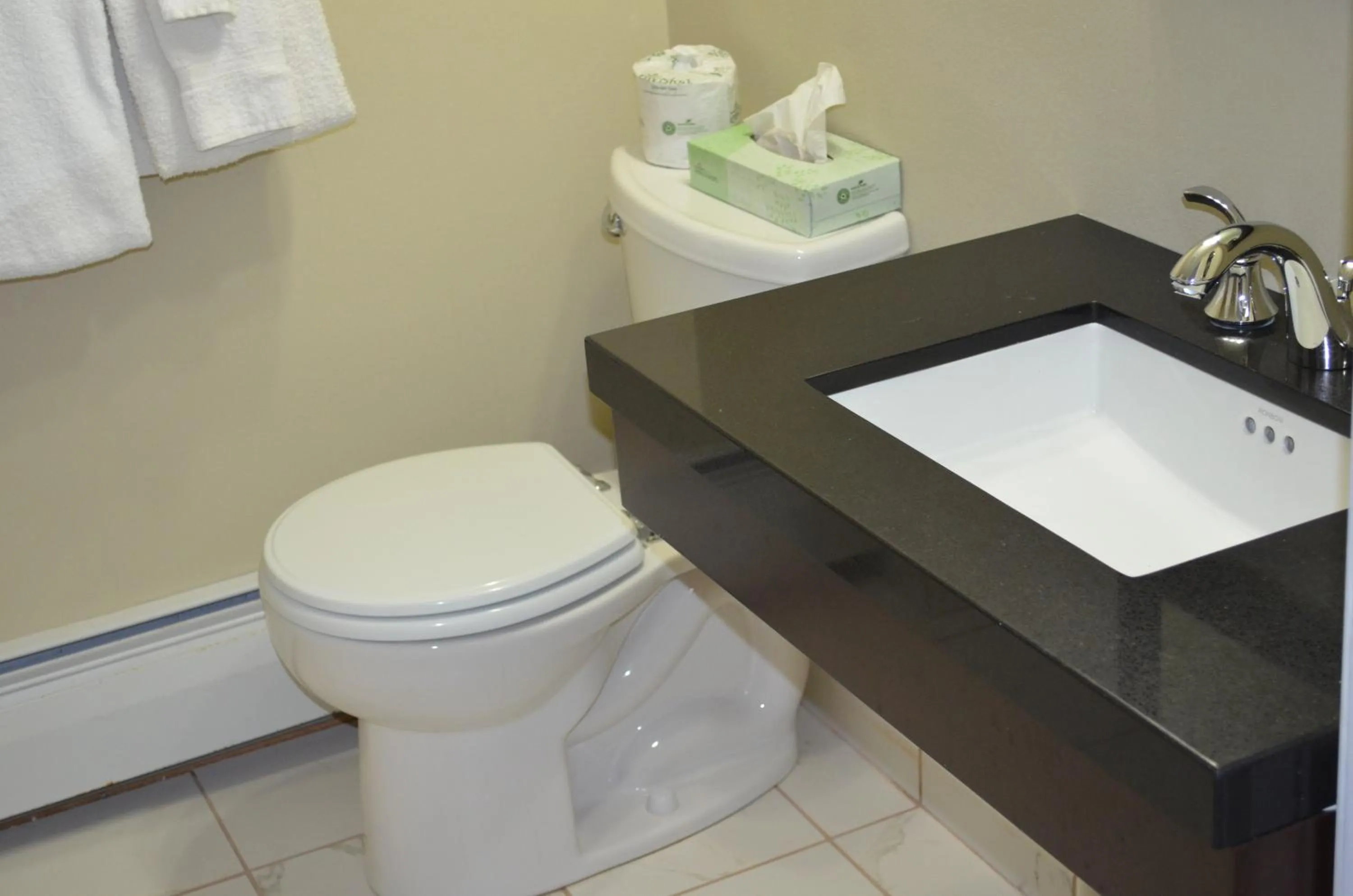 Toilet in Cape Shore Inn