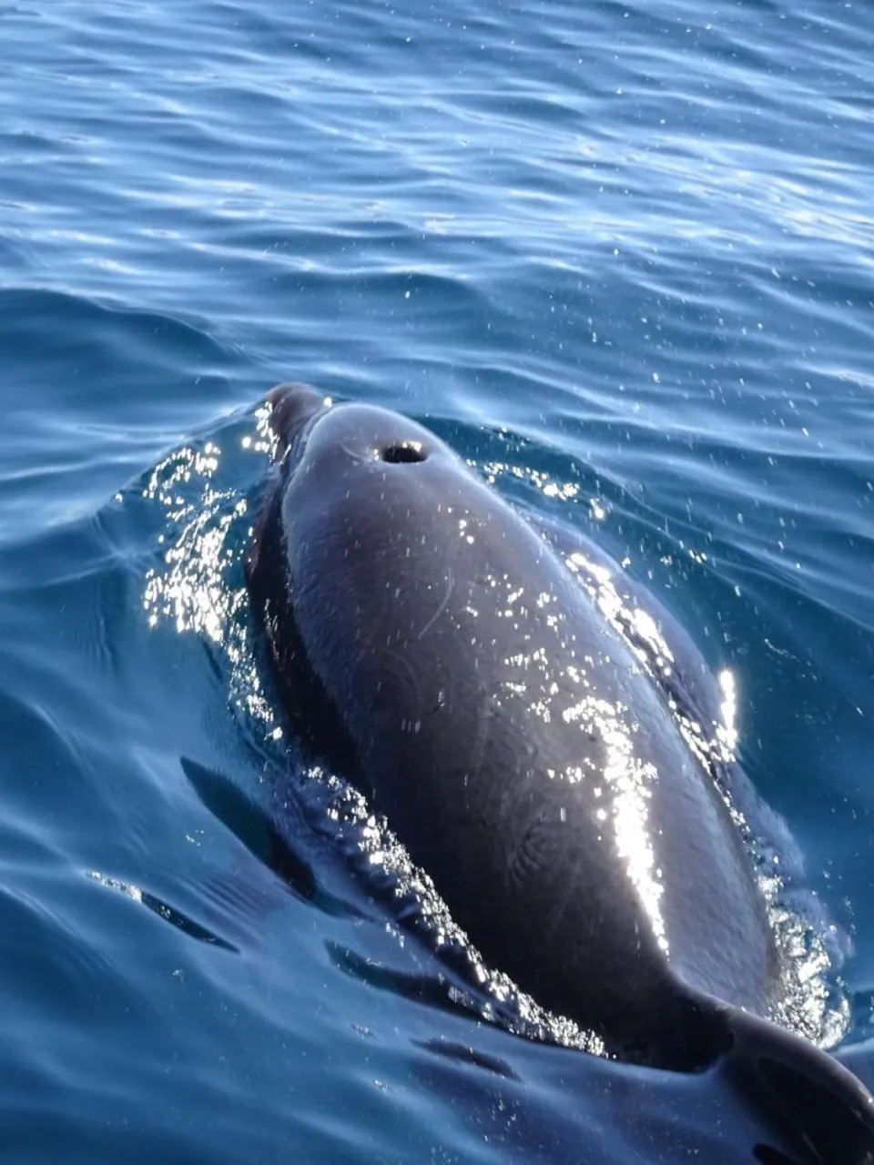 Other in Hotel Giada