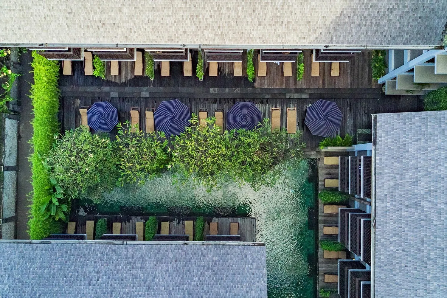 Swimming pool in THE 1O1 Bali Oasis Sanur