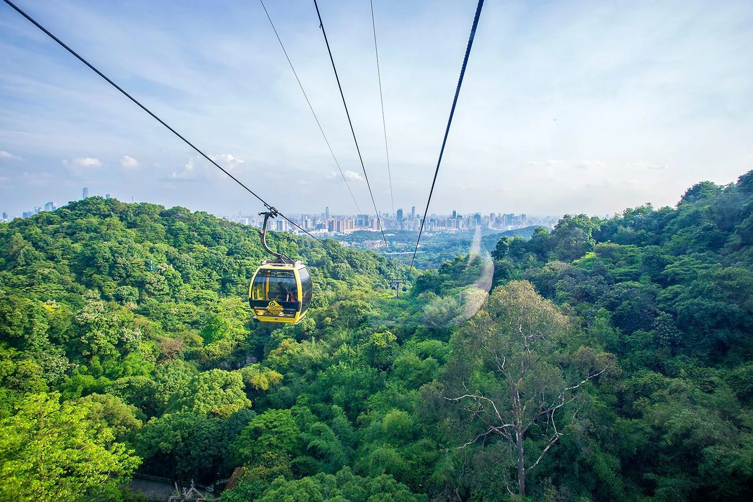 Nearby landmark in Hilton Guangzhou Baiyun - Canton Fair Free Shuttle Bus