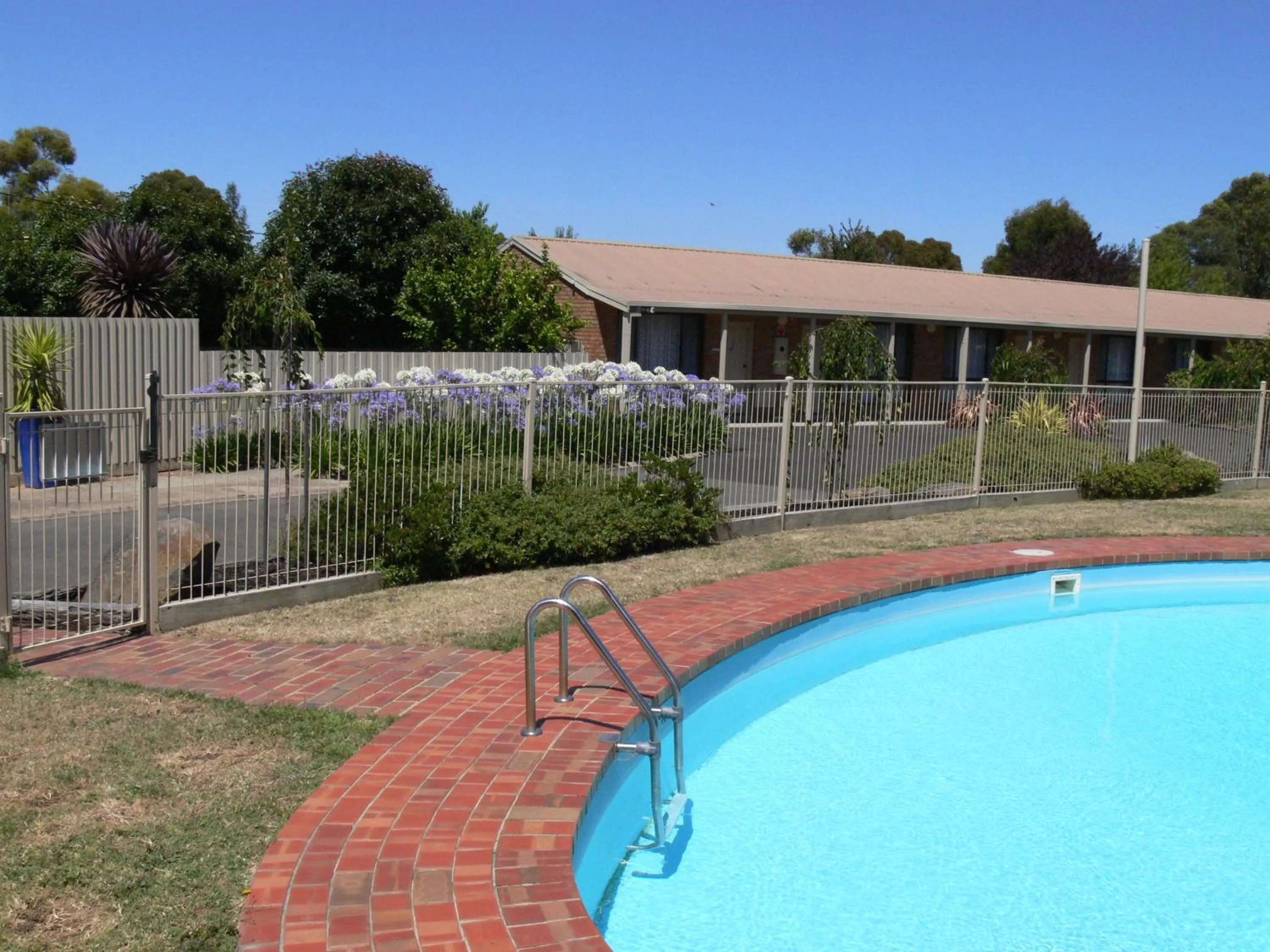 Swimming pool in Begonia City Motor Inn