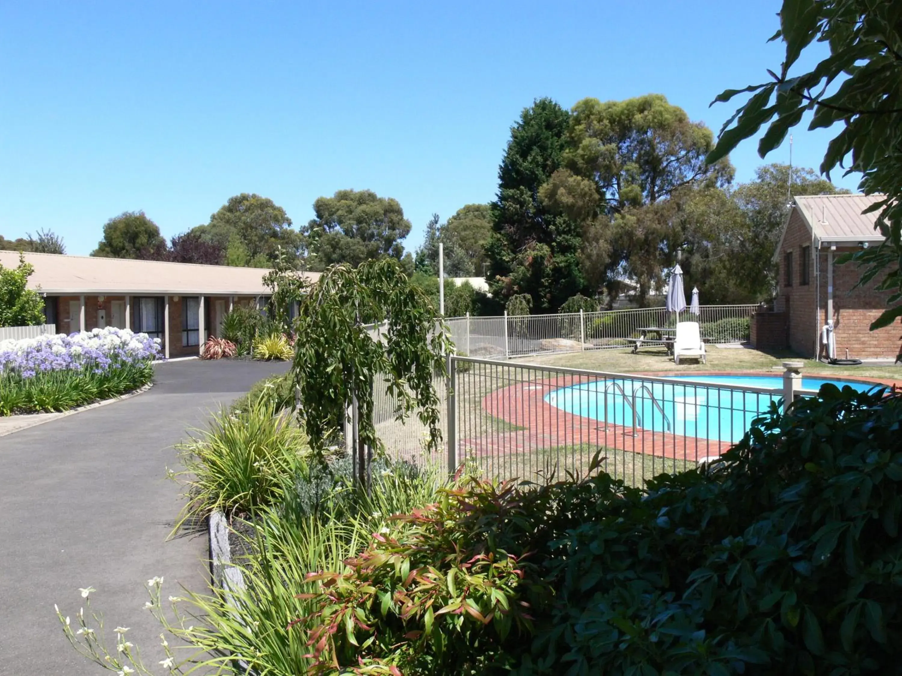 Swimming pool in Begonia City Motor Inn Swimming pool in Begonia City Motor Inn