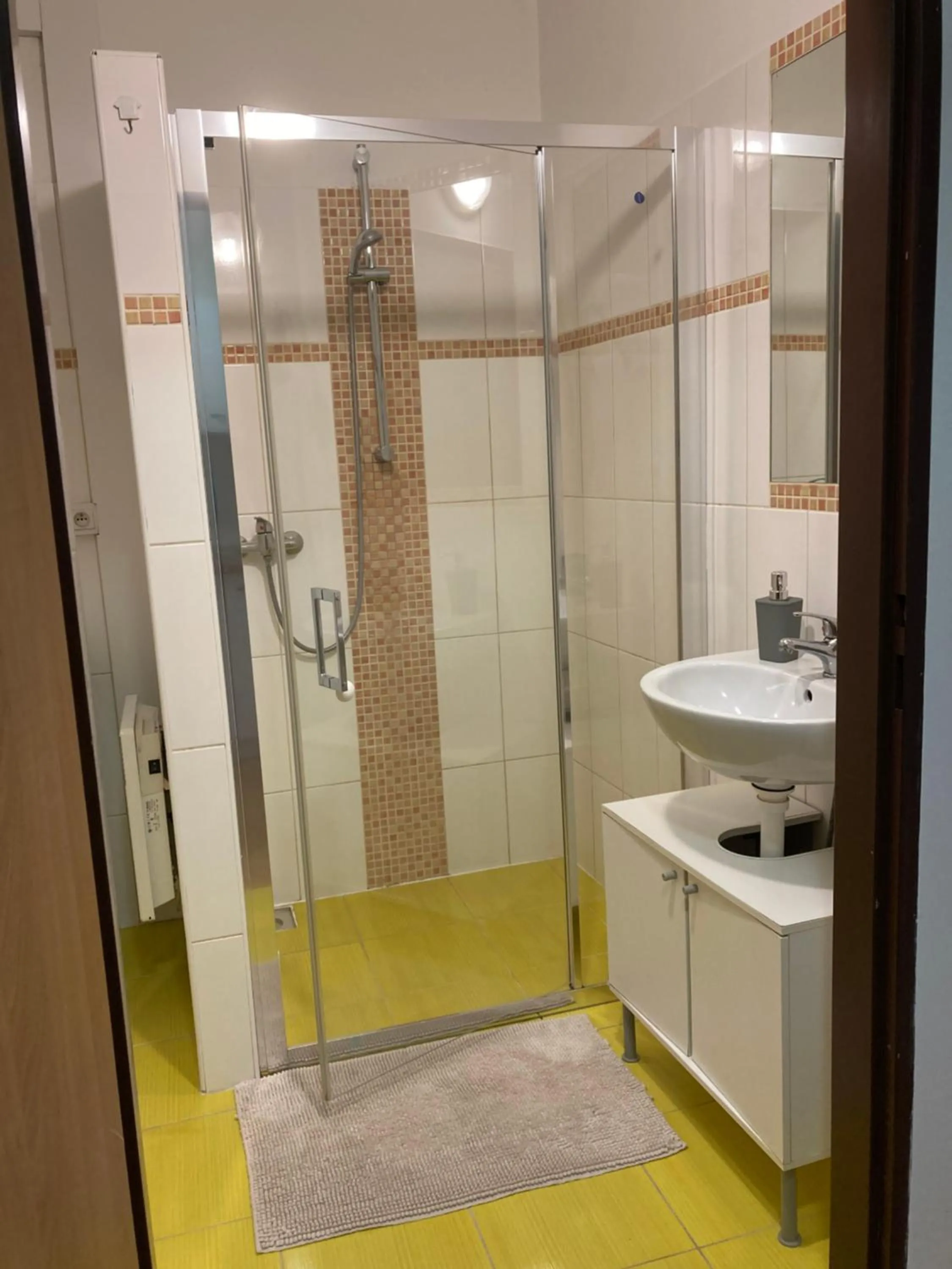 Shower in Sausage dog's apartments