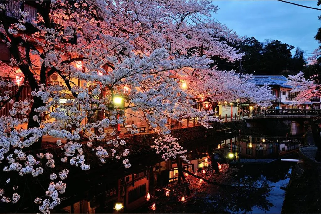 Nearby landmark in Oyado Seri