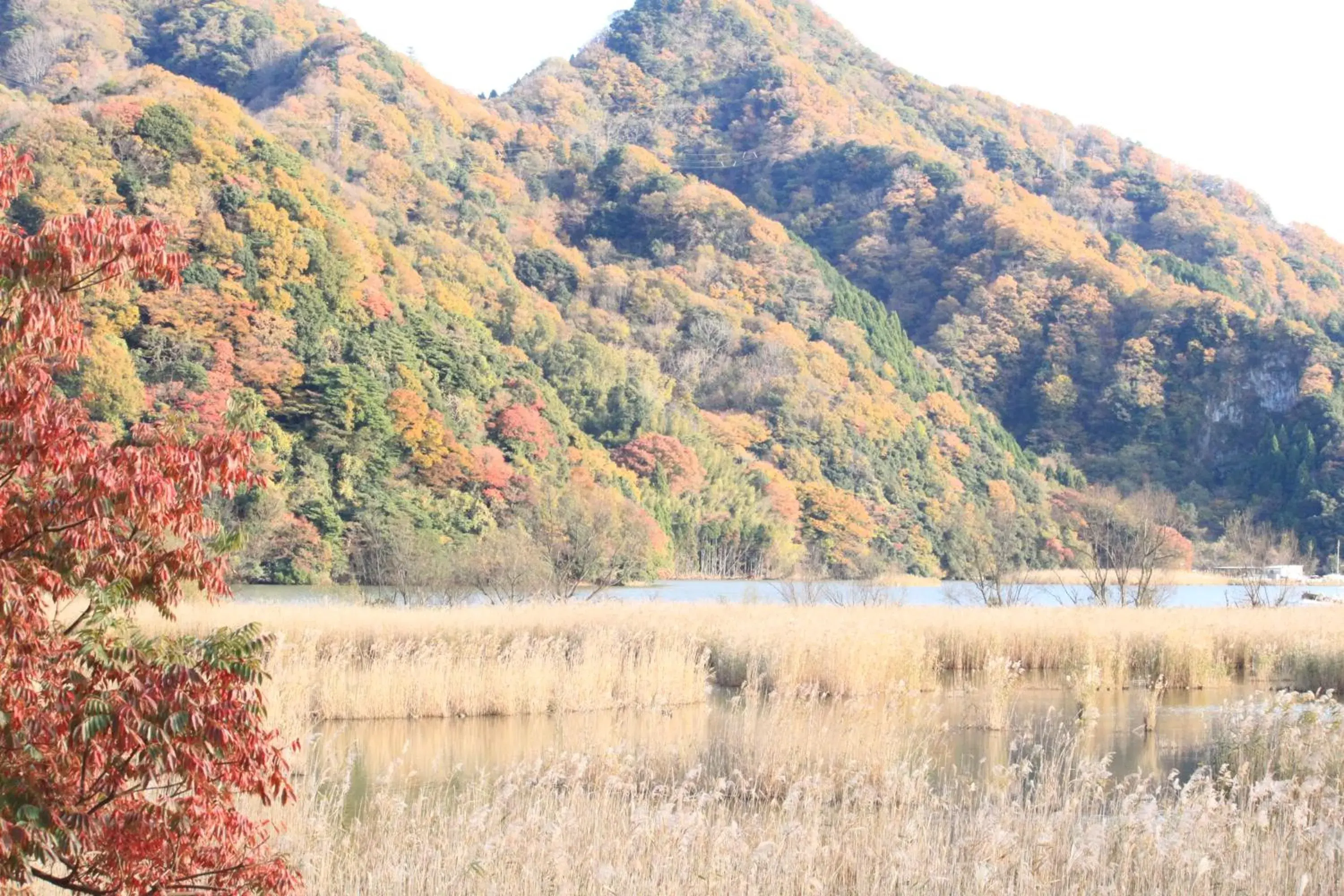 River view in Oyado Seri River view in Oyado Seri