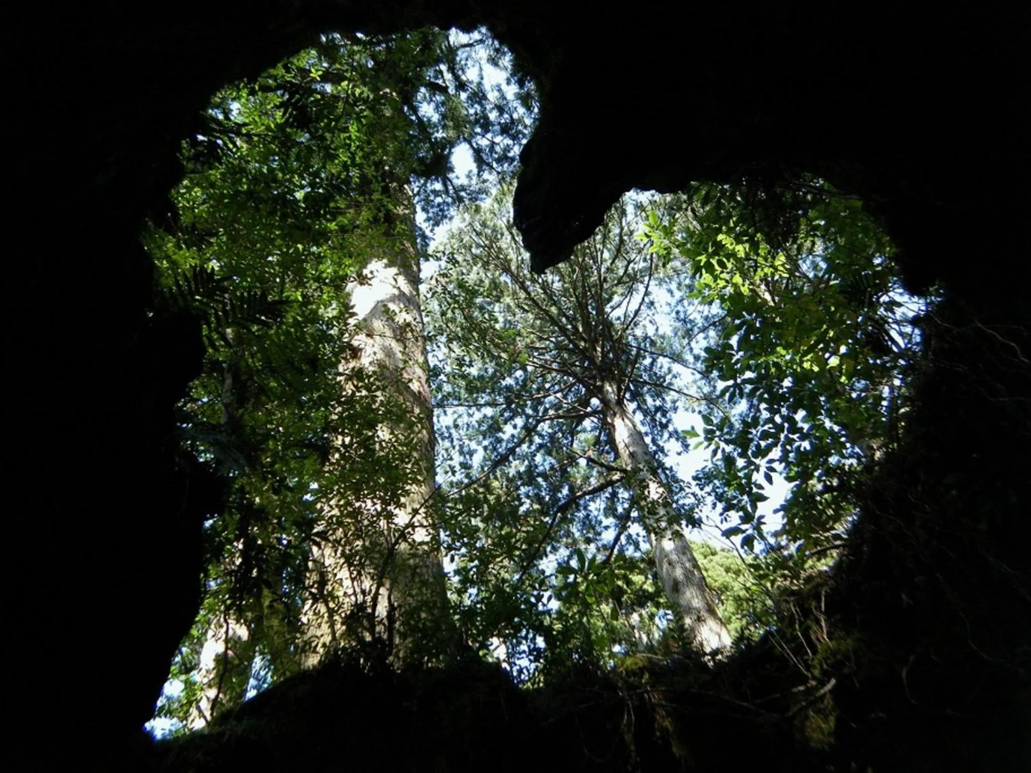 Off site in Maetakeso