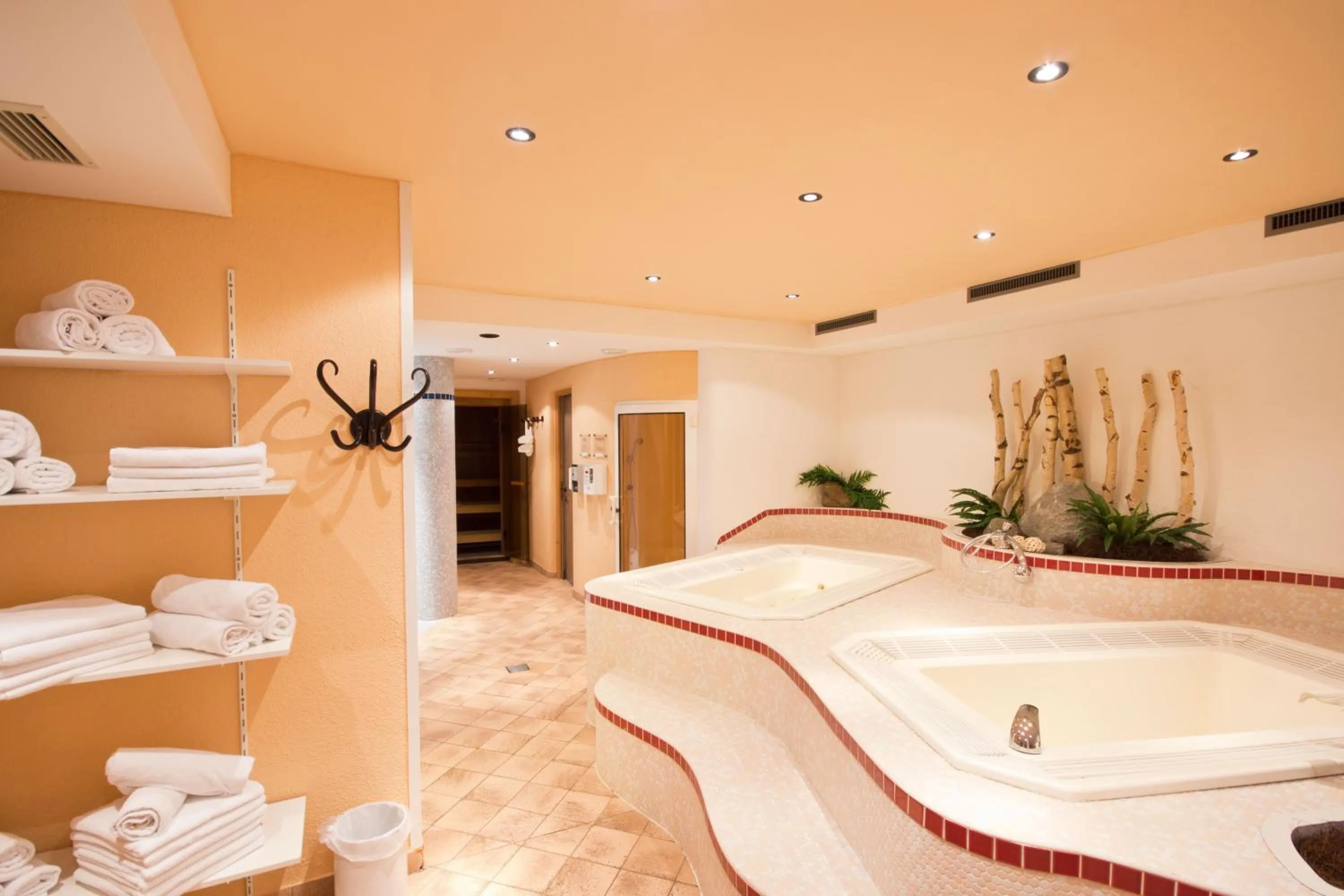 Spa and wellness centre/facilities in Hotel Garni Hainbacherhof