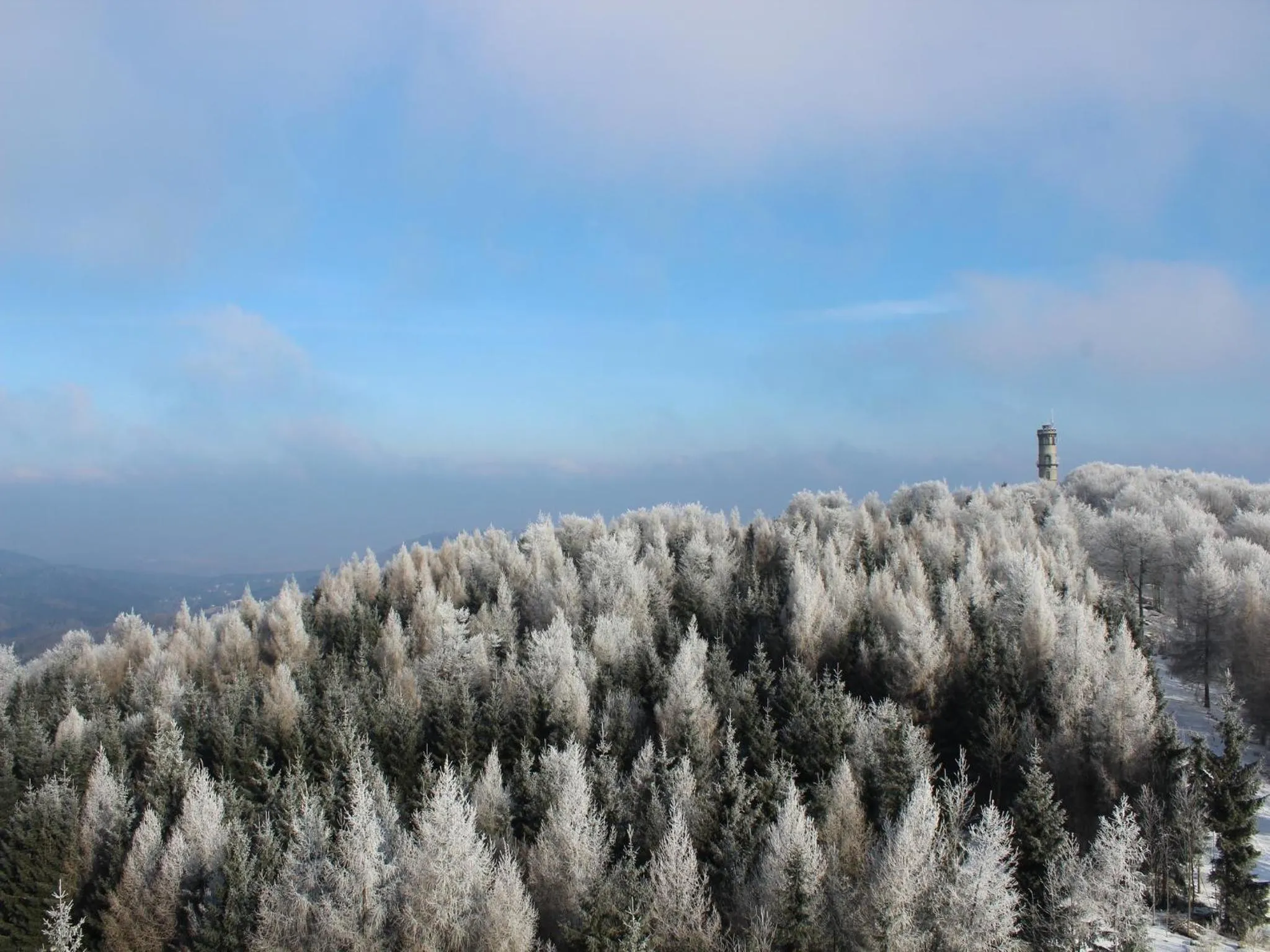 View (from property/room) in Hochwaldbaude