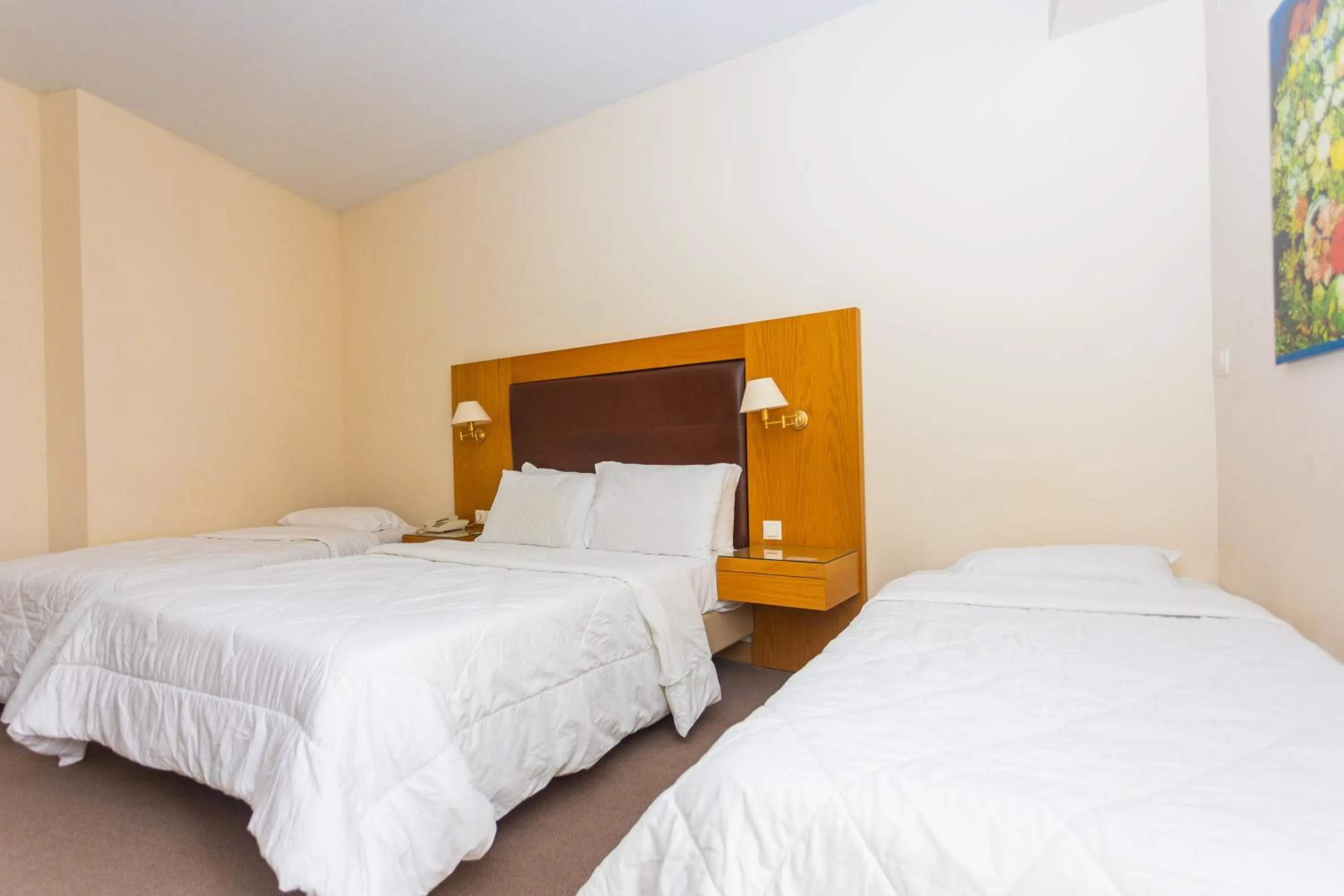Bed in Hotel Aspassia