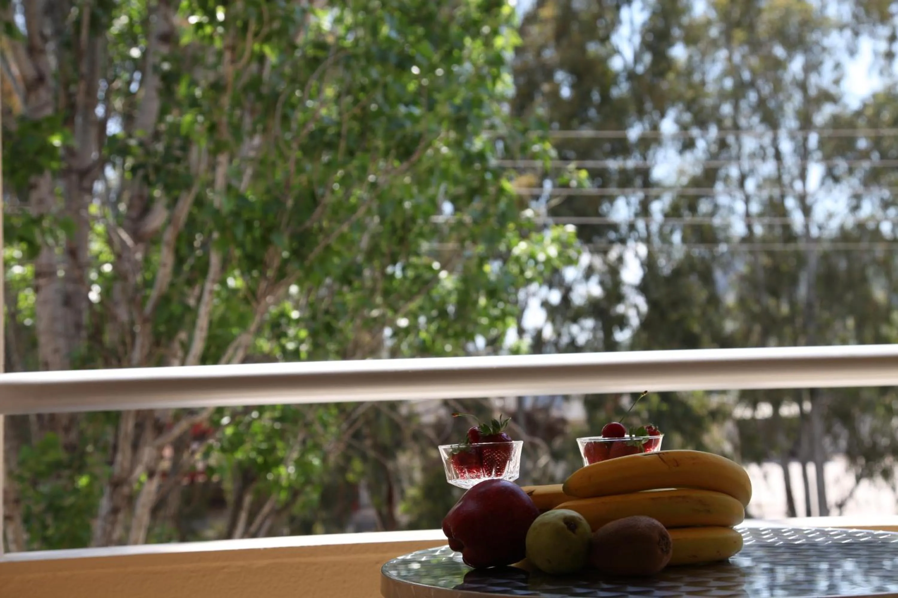 Balcony/Terrace in Hotel Aspassia