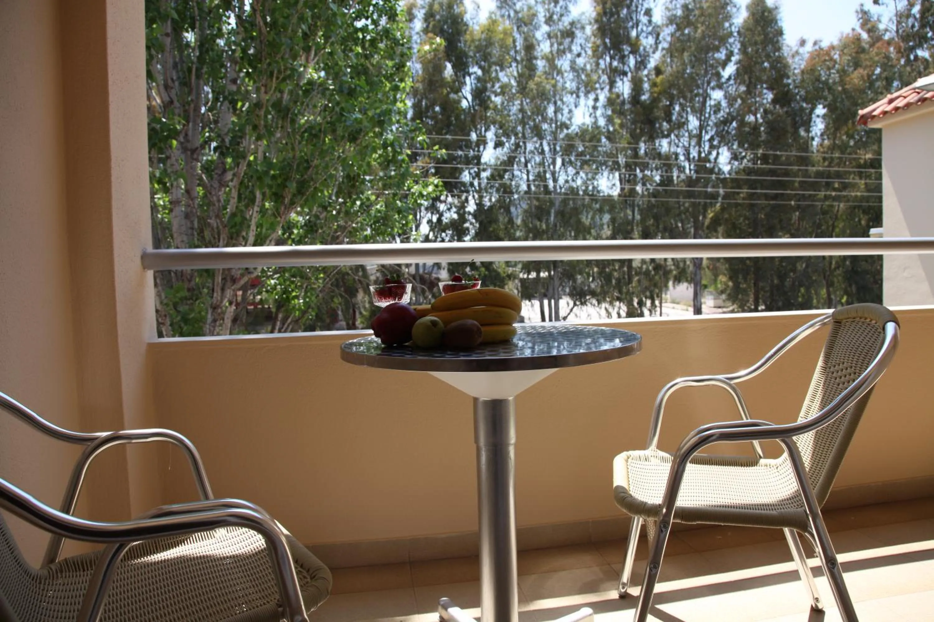 Balcony/Terrace in Hotel Aspassia