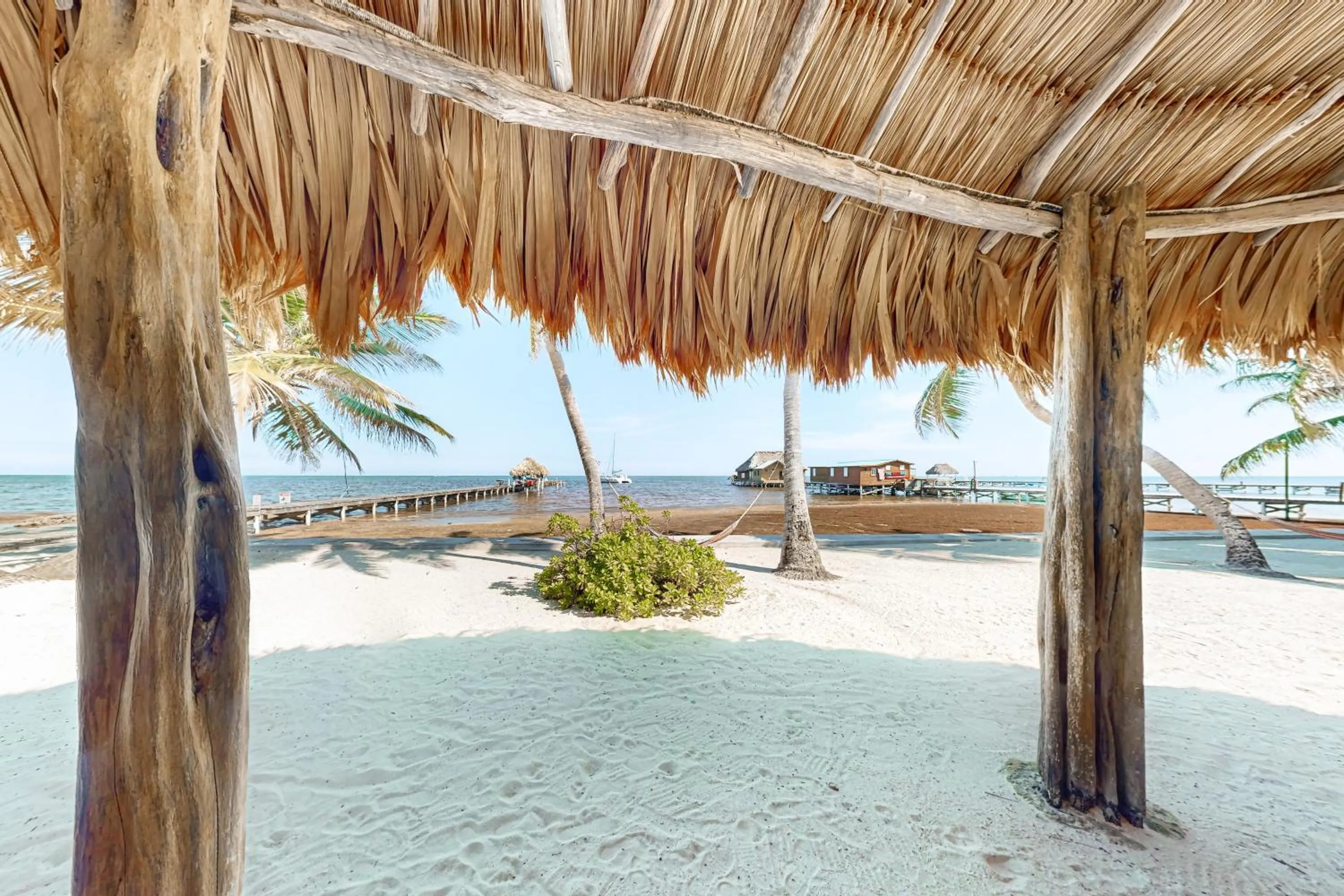 Zinnia @ Caribe Island