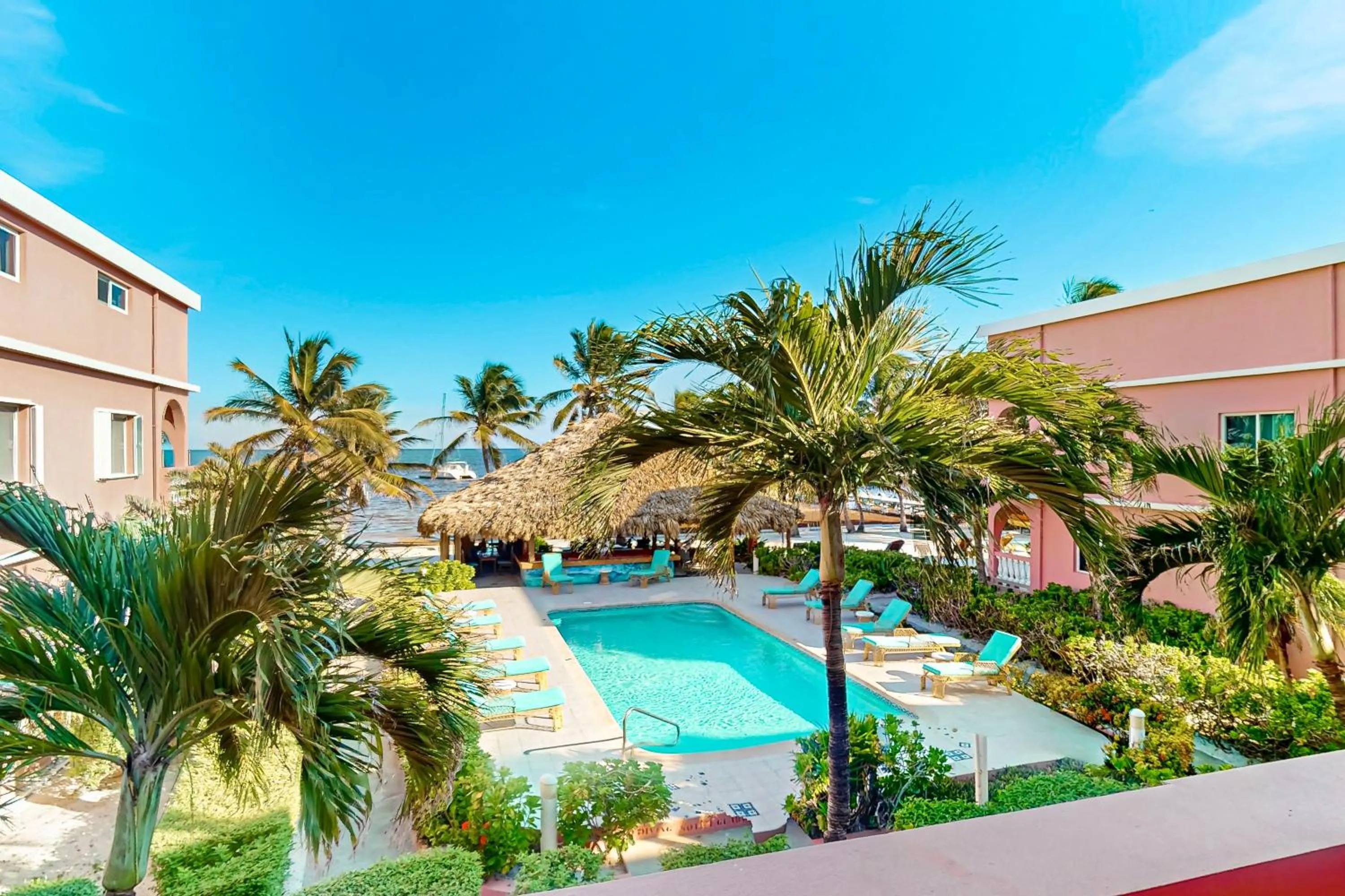 Zinnia @ Caribe Island