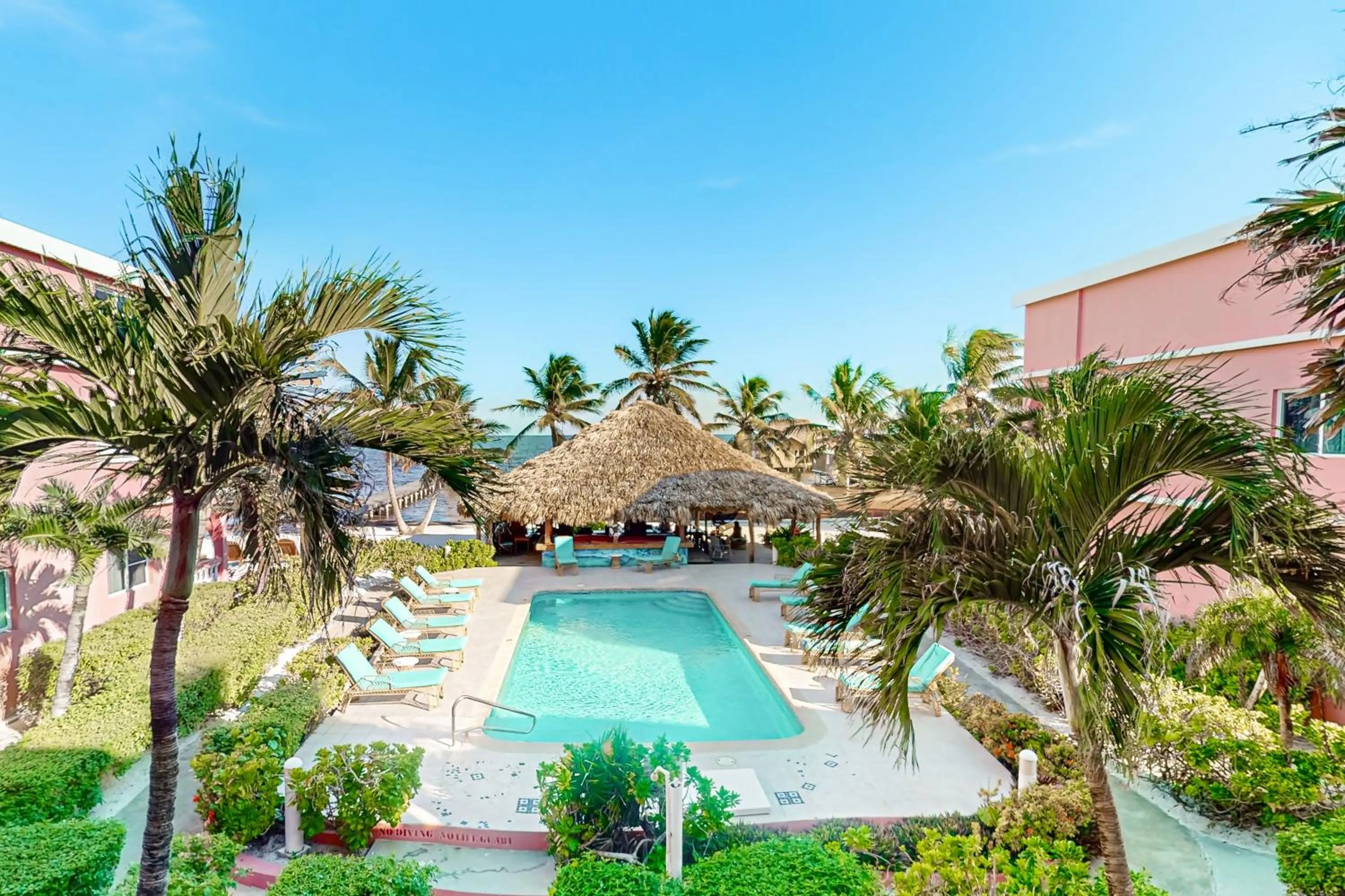 Zinnia @ Caribe Island