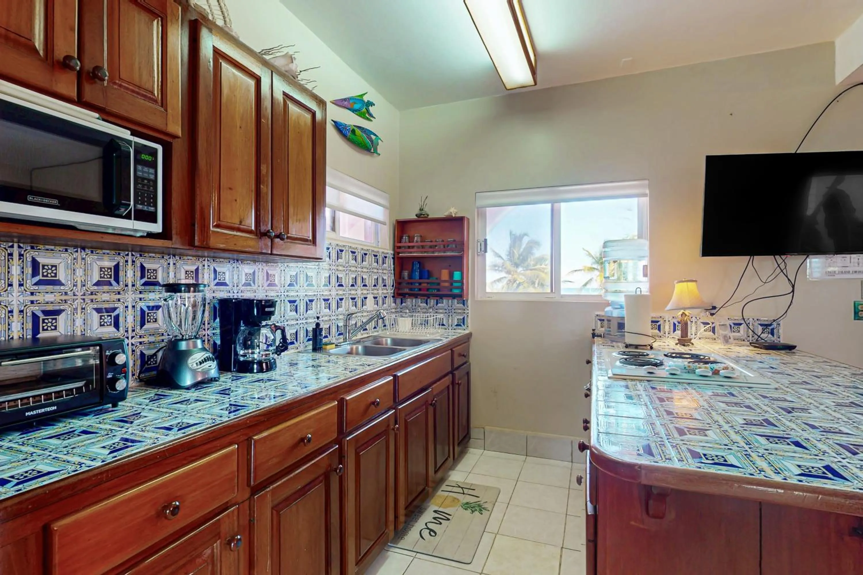 Zinnia @ Caribe Island