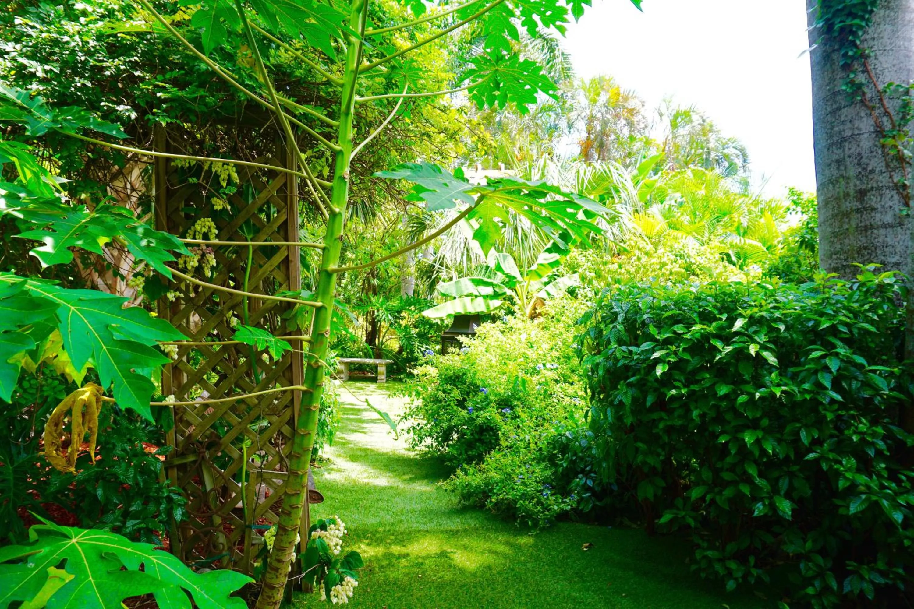 Garden in Riverside by the Beach Apartments
