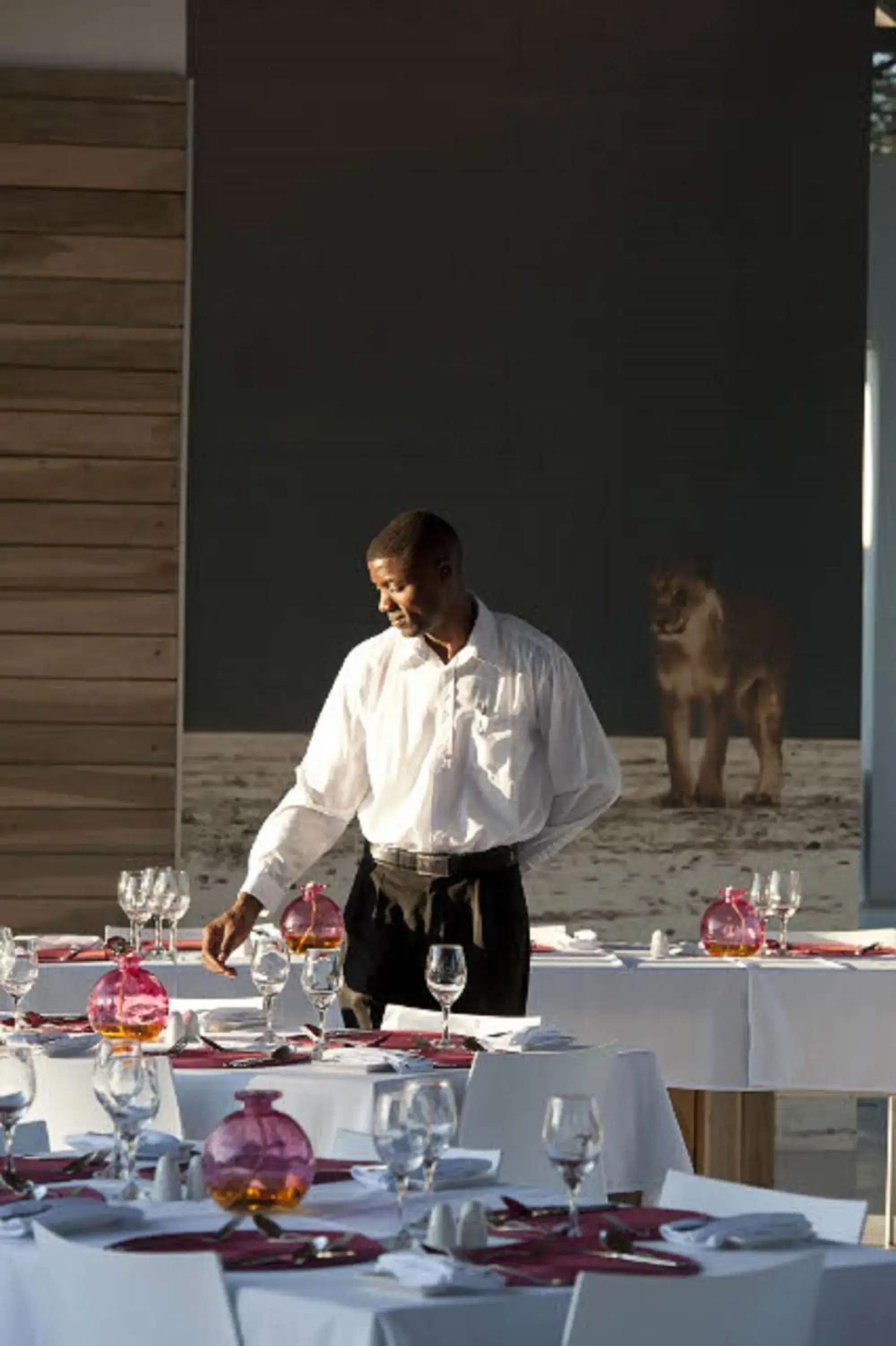 Twin Room in Emanya@Etosha Twin Room in Emanya@Etosha