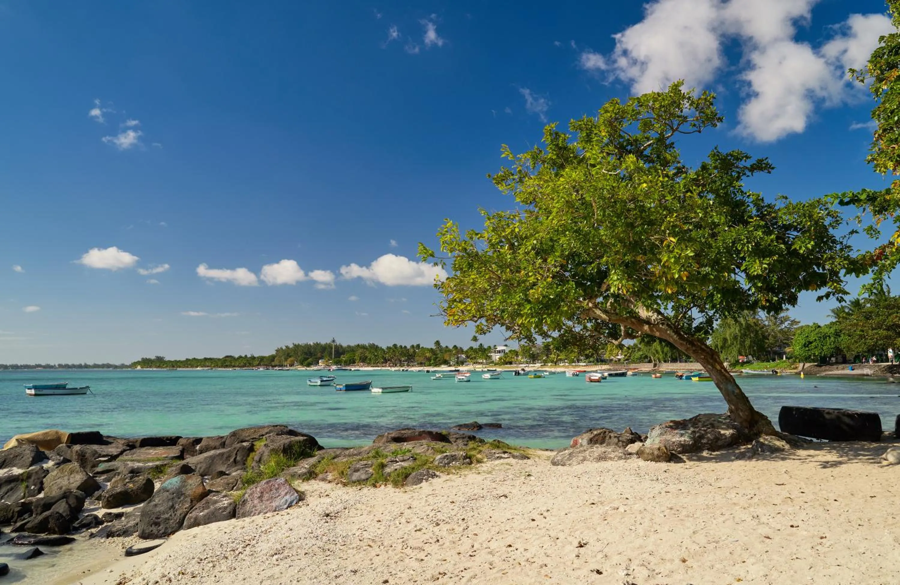 Beach in Bon Azur Beachfront Suites & Penthouses by LOV Mauritius