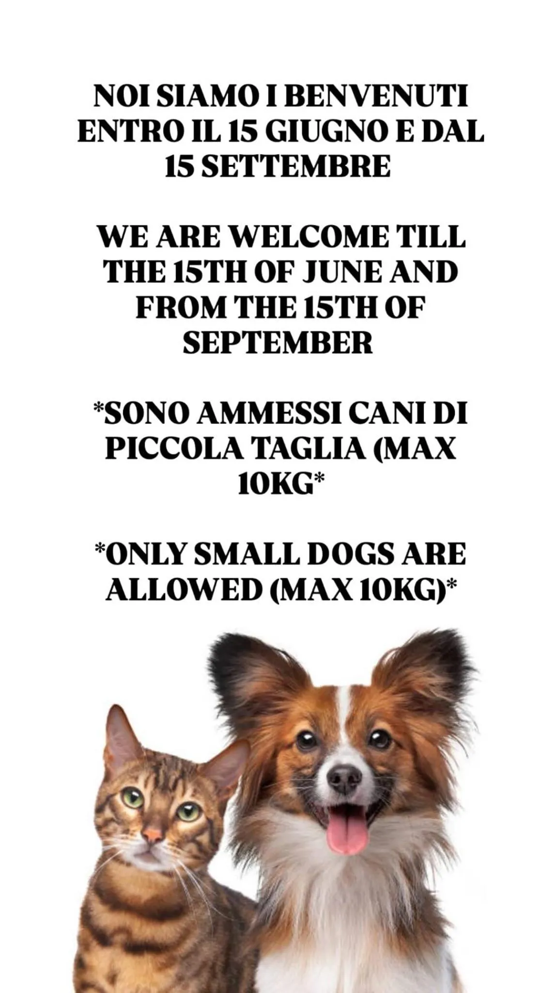 Animals in Residence Mediterraneo