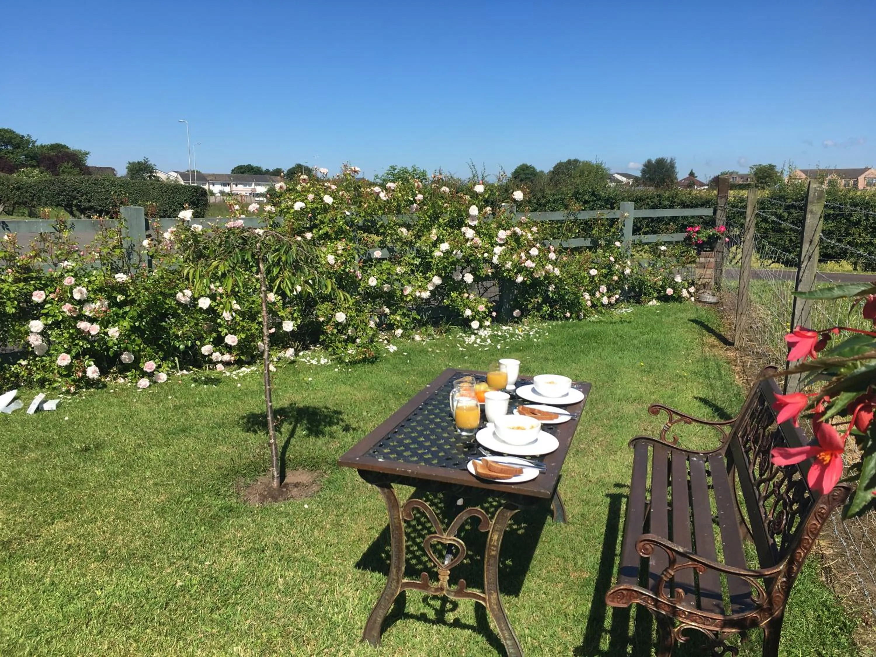 Auchenlea lodges
