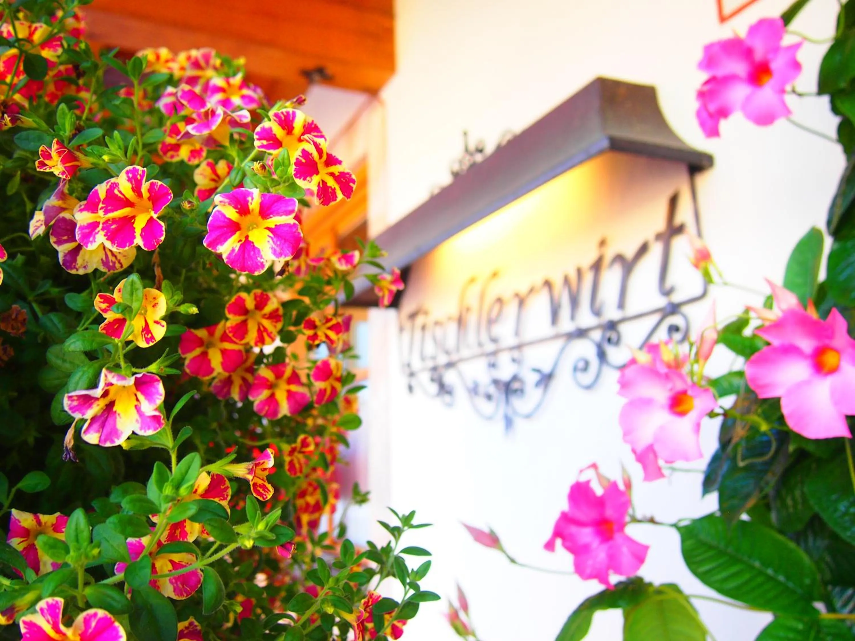 Property logo or sign in Tischlerwirt