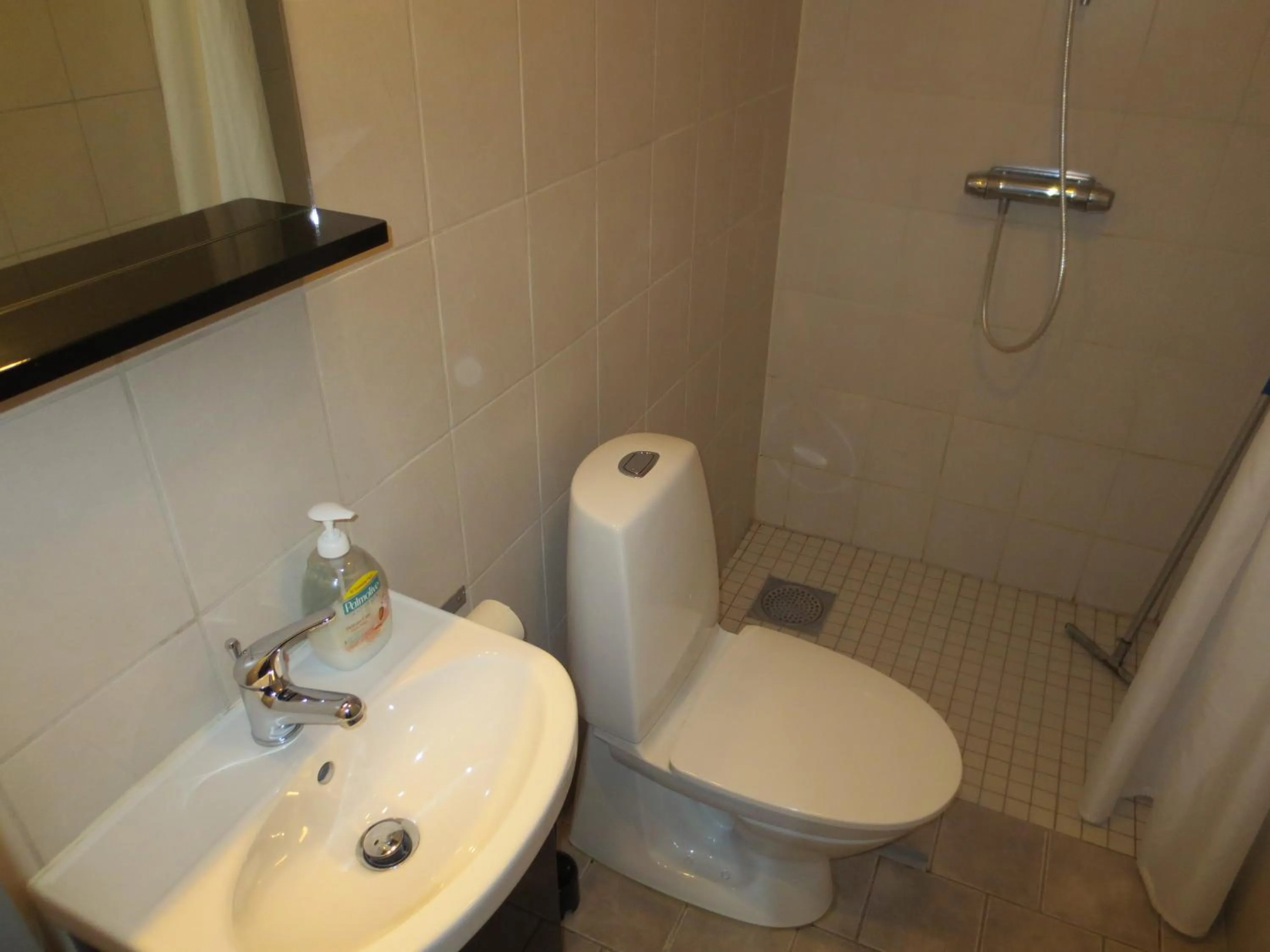 Bathroom in Mannflogården Bed & Breakfast , Sälenfjällen